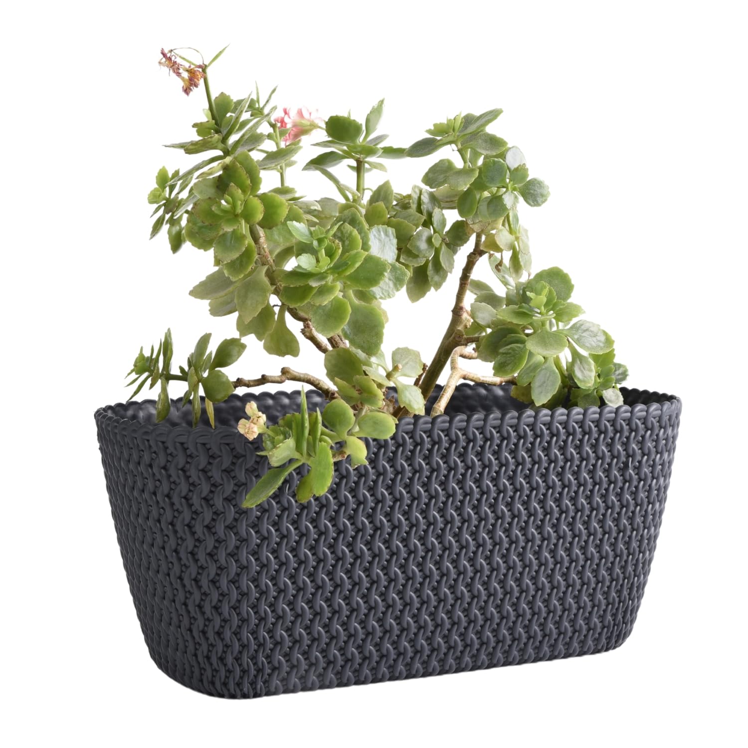 B2C Rectangular Planter Long Flower Pot Indoor Outdoor Patio Plant Case Plastic Woven Rattan knitted braided pattern Home & Garden (Anthracite, 40cm)