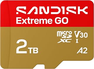 SANDISK 2TB Extreme GO microSDXC UHS-I Card, 5K & 4K UHD Video, 240MB/s Read, 150MB/s Write, A2, U3, V30, High-Speed for Android, Action Camera & Gaming