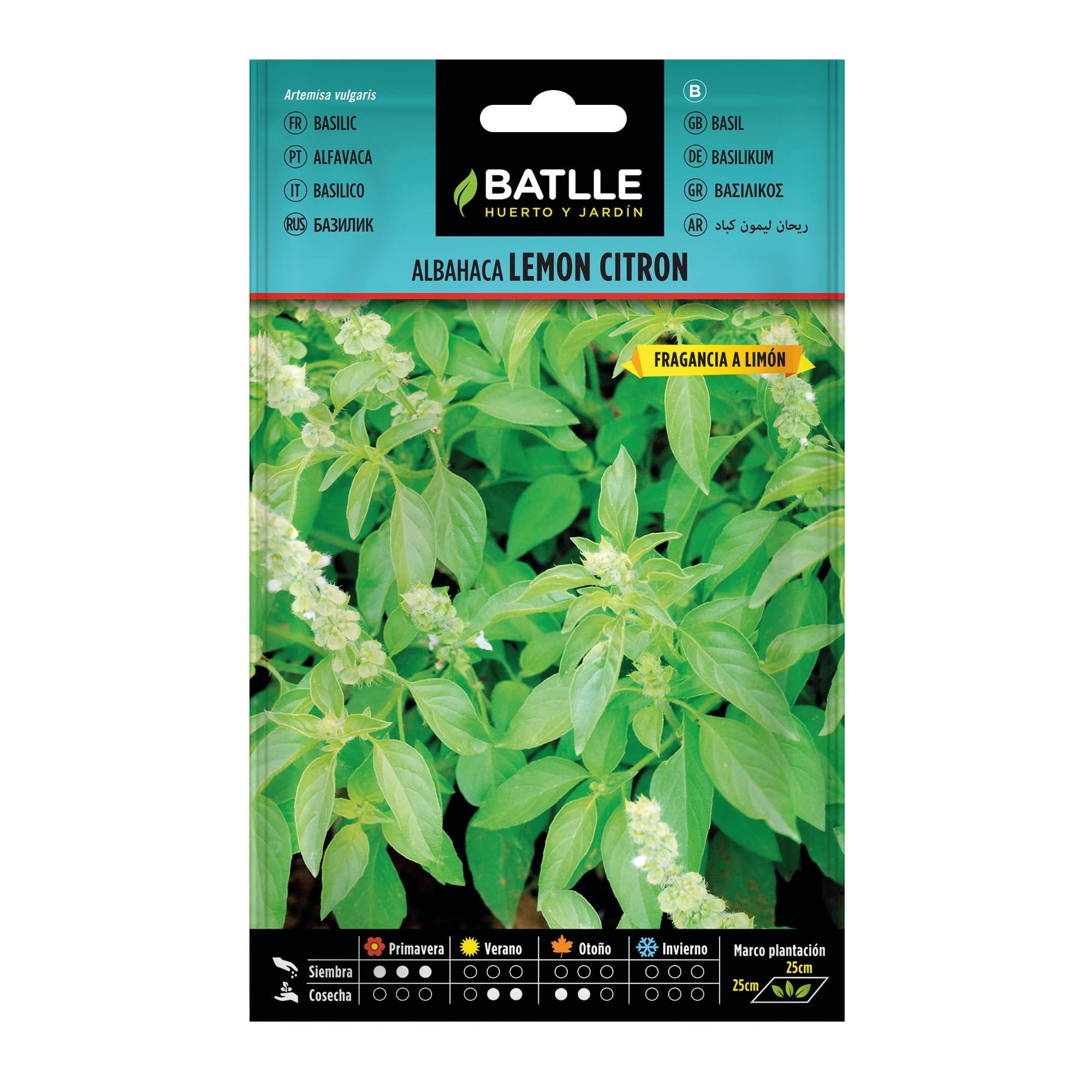 Basilic Lemon Citron