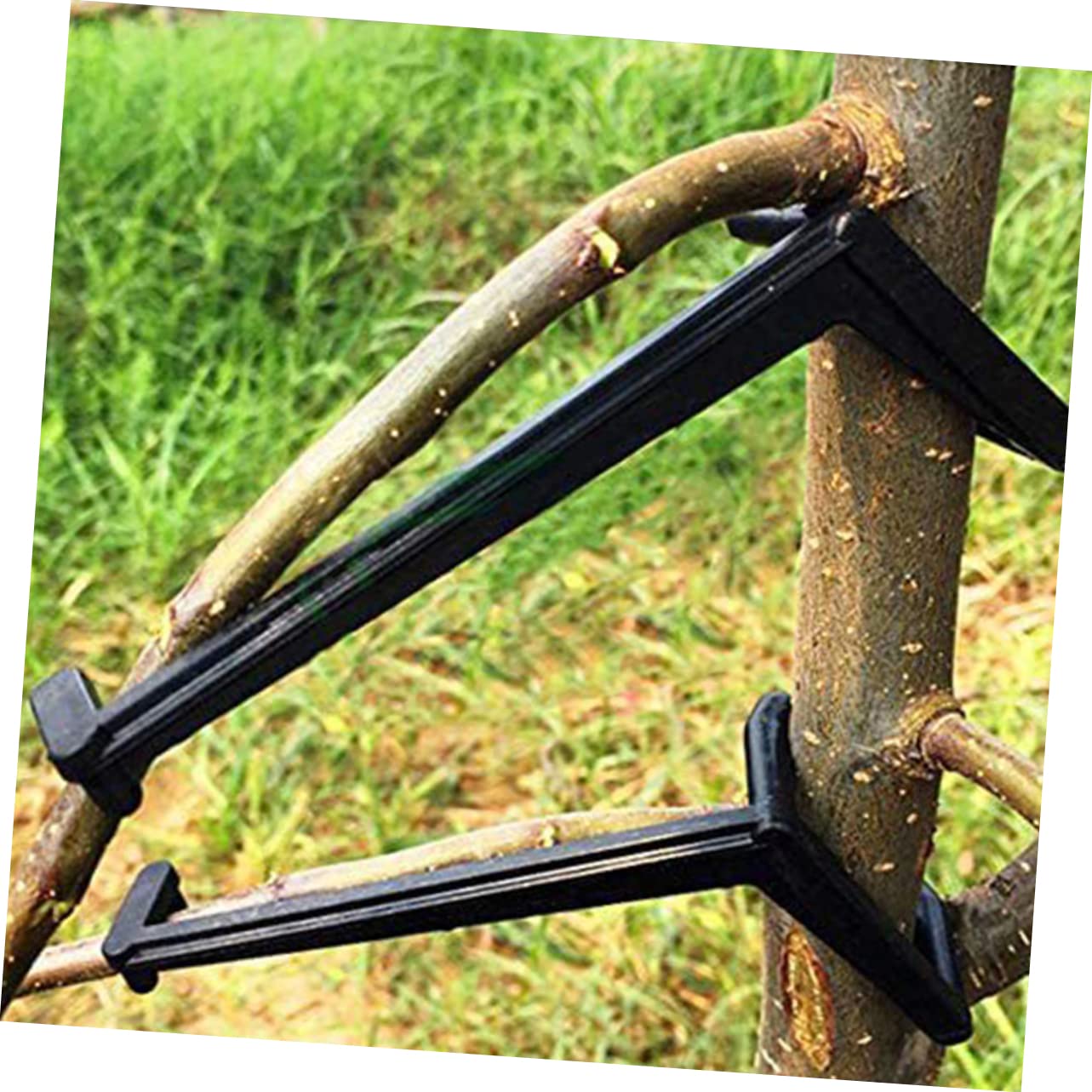 UPKOCH 5 Sätze Pflanzenzweig Trainingsclips Verstellbare Clips Zur Formung Von Obstbaumzweigen Und Hochwertige Pflanzenstützklammern Für Drinnen Und Draußen 10 Stück * 5