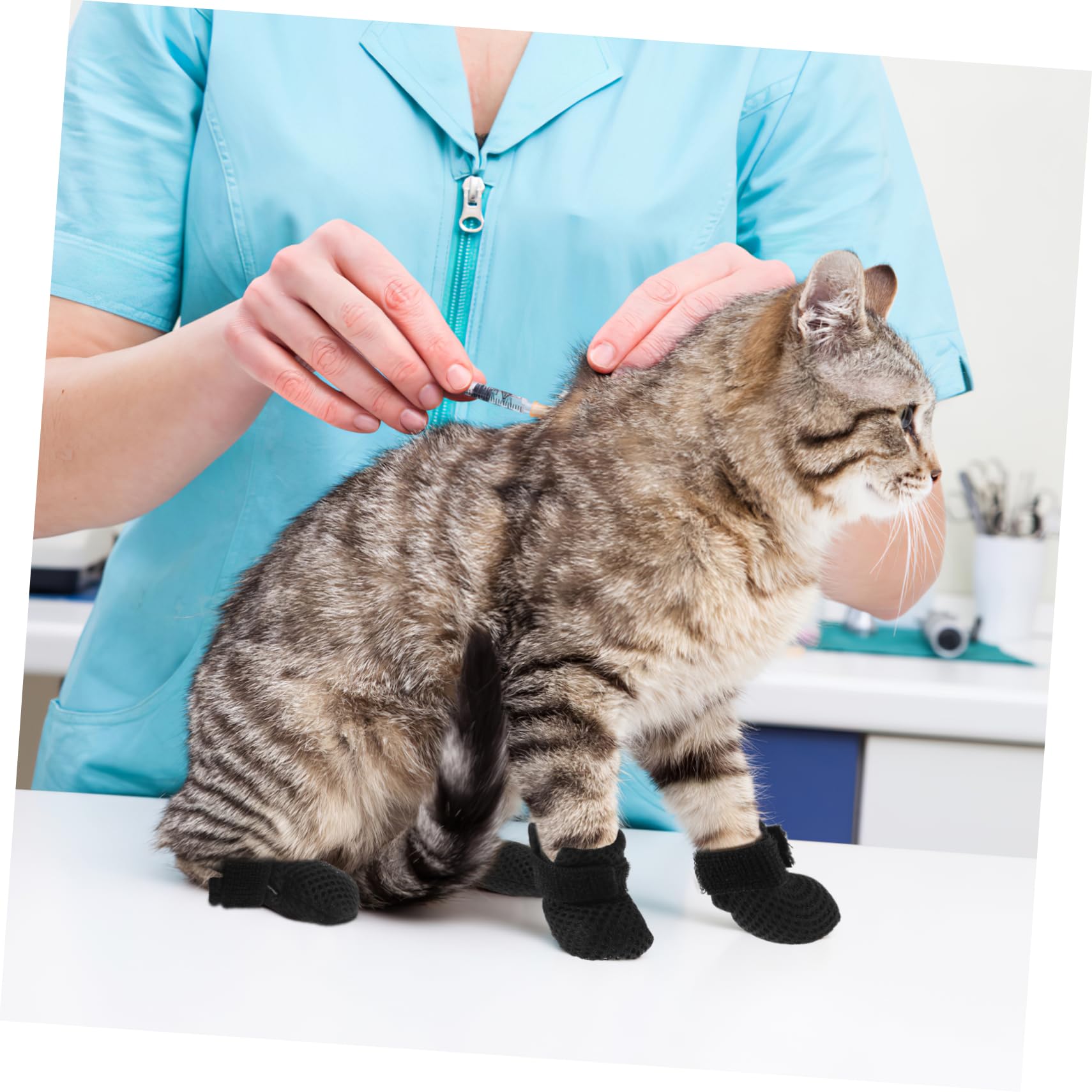 120 Capuchons Pour Griffes Chats Et Chiens - Anti-rayures, Confortables, Plusieurs Tailles Et Couleurs - 10