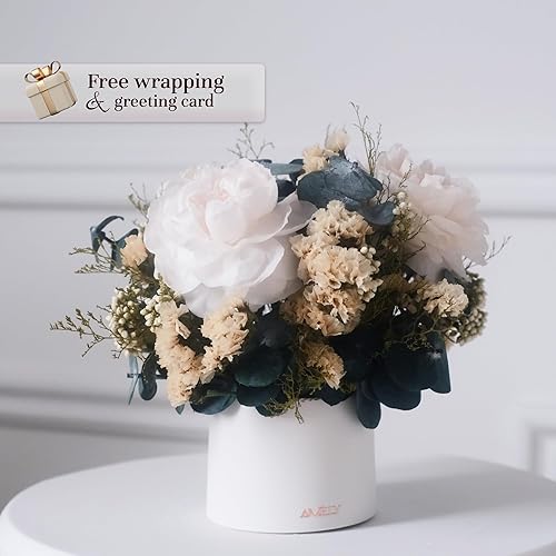 Amely Rosa preservada, rosa real, flores preservadas, rosa real en florero, rosas eternas, ramo de flores, decoración interior, rosas duran un año,