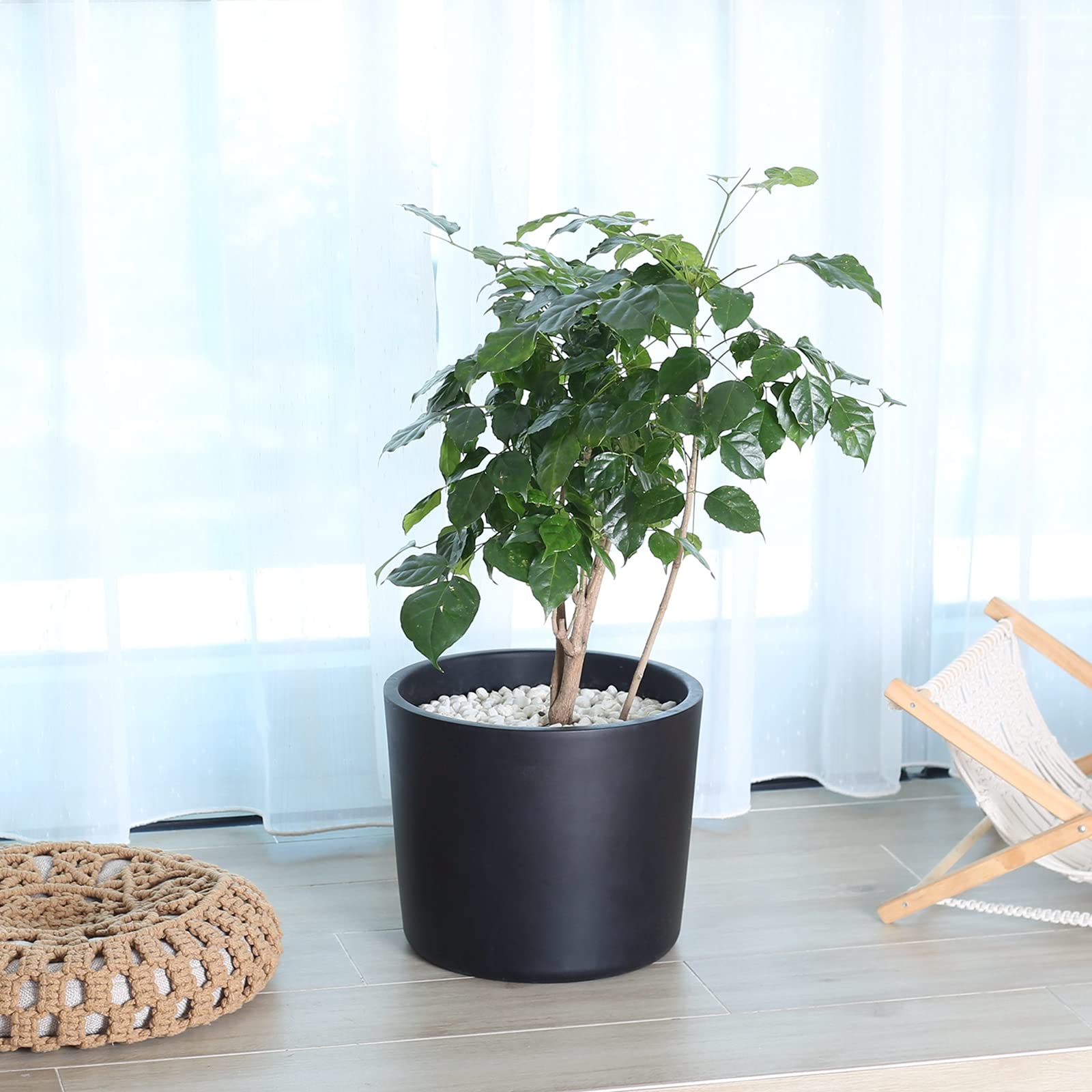 Amazon.co.jp: Pageqiu 植木鉢 屋内 12インチ ブラック 厚手