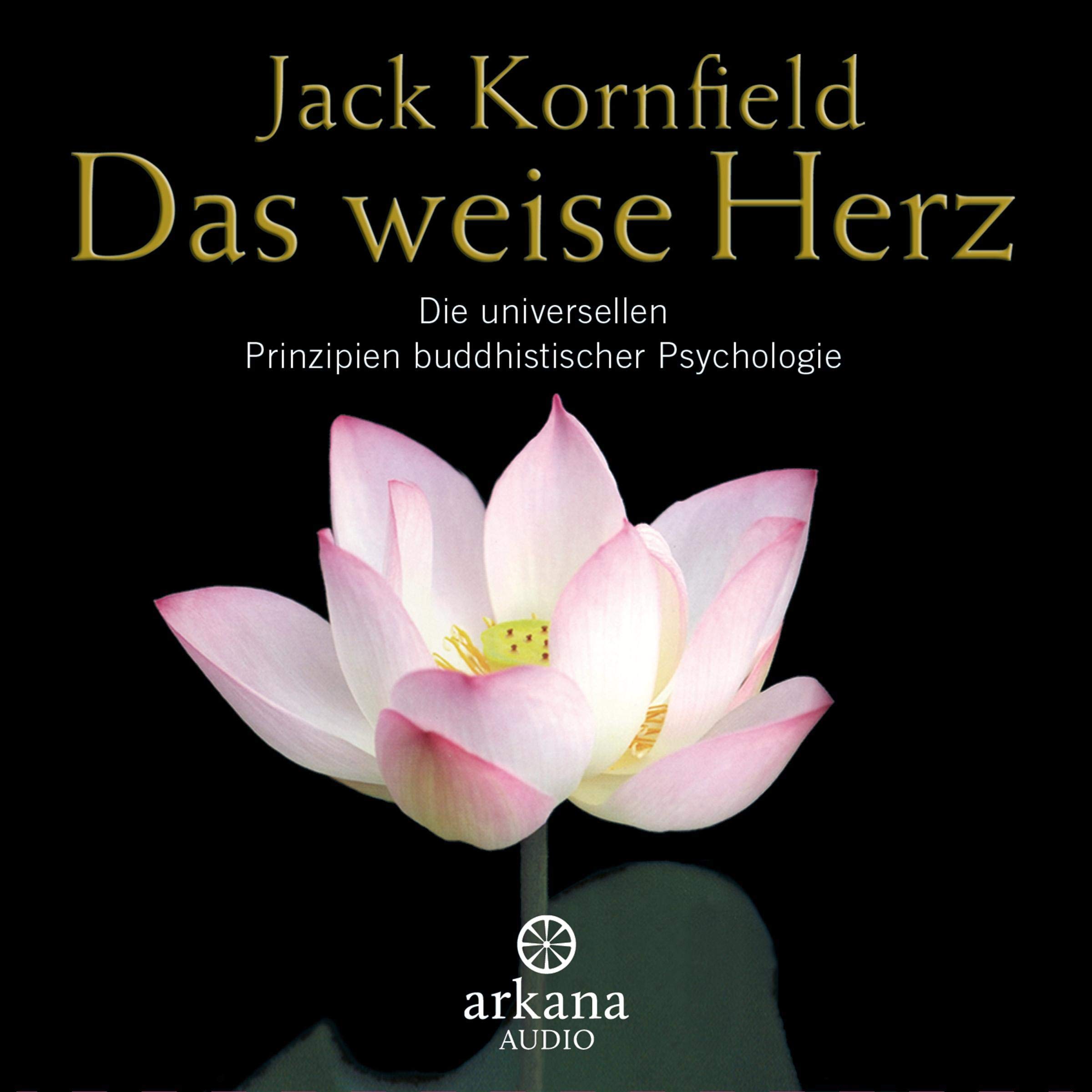 Cover art for Das weise Herz