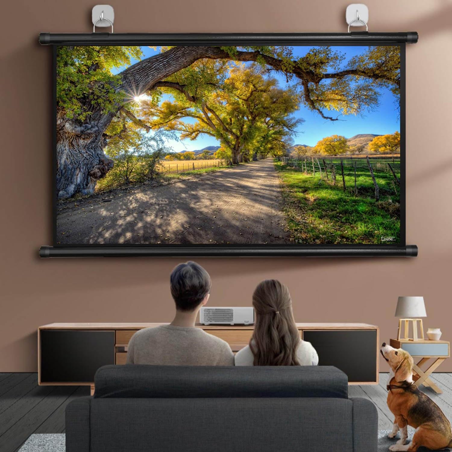 Telo Proiettore per Interni ed Esterni 60/72 Pollici, Schermo Proiettore Lavabile 4:3/16:9 Schermo Proiezione Portatile Pieghevole Anti-Pieghe per Home cinema Gioco da Ufficio (Size : 60" (16:9))