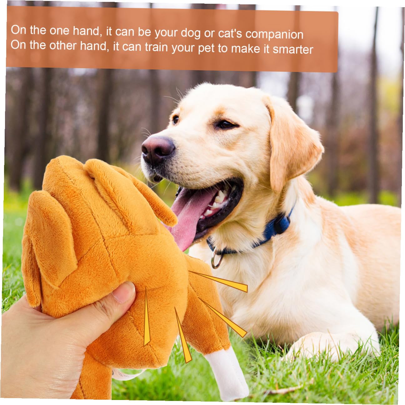 minkissy Juguete de pavo para mascotas de 4 piezas, resistente al desgaste, juguete interactivo para masticar, juguete interactivo para gatos, juguete de sonido para apretar, juguete para mascotas,