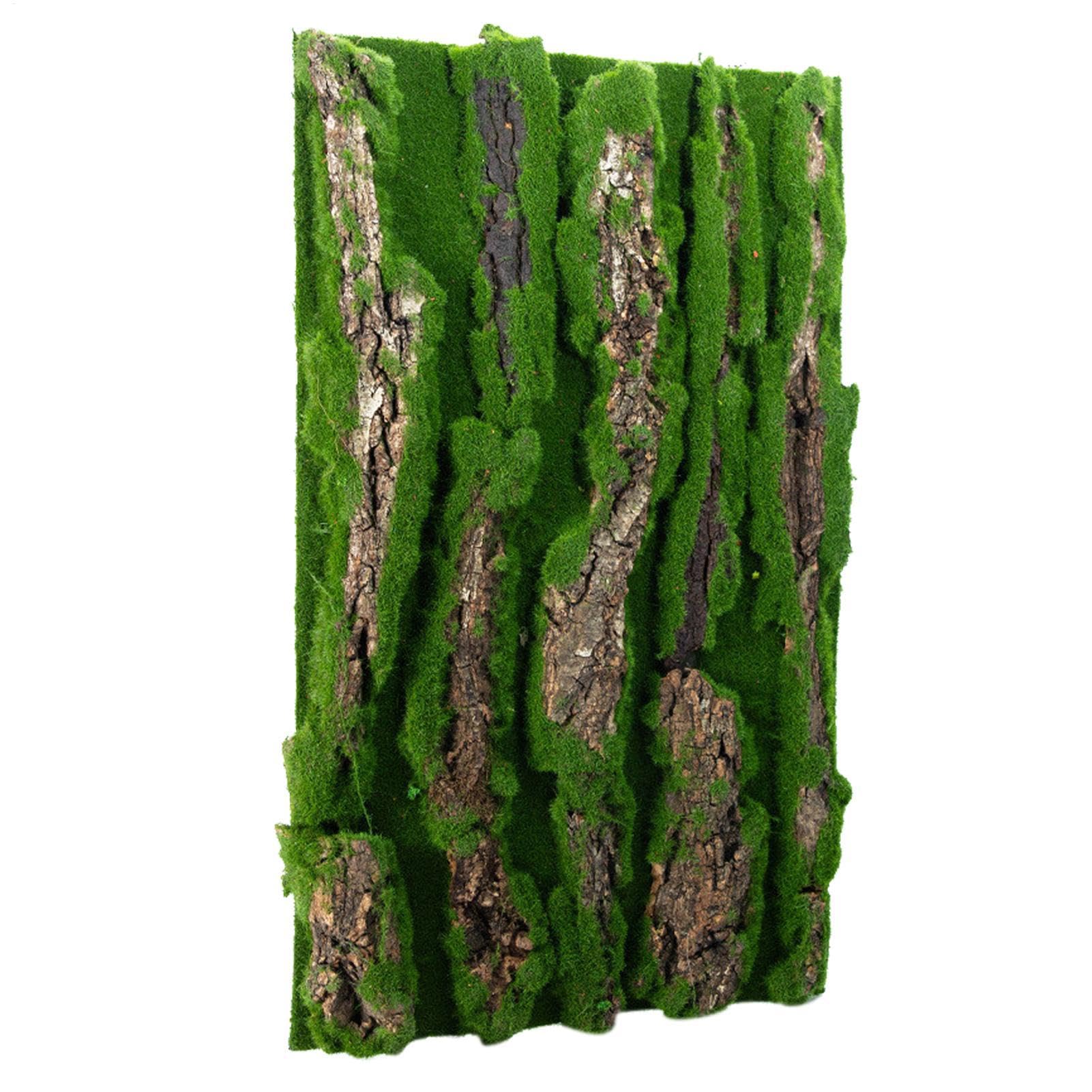 Antecedentes de Corcho para Terrario - Decoración de viviendas de Reptiles | Fondo de Corteza con Espuma Artificial, Accesorio Natural para, Serpiente, camaleón, Gecko, dragón Barbudo y anfibi