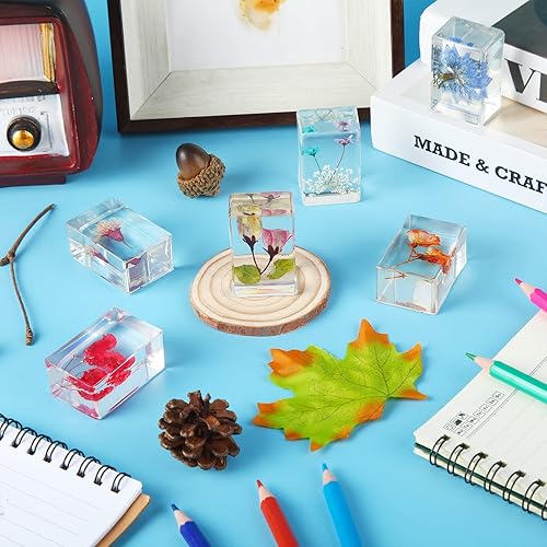 Miniatura 4 de 6 Pieces Pressed Flower Paperweight Flower in Resin Specimen Collection for Desk Real Flowers Samples Paper Weights Square Paperweight Cube for Kids