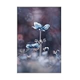 Trademark Fine Art Canvas Wall Art - Fabien Bravin 'The Beginning Of A New Era' Wall Art for Living Room, Bedroom, or Office Décor