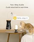 Furbo 360° Cat Camera: Basic See, Talk & Toss Features, No AI Alerts, No Subscription Required, Pet Security Cam w/Meowing Alerts, Rotating View, Treat Toss, 2-Way Audio, Smart Home Kitty Monitoring