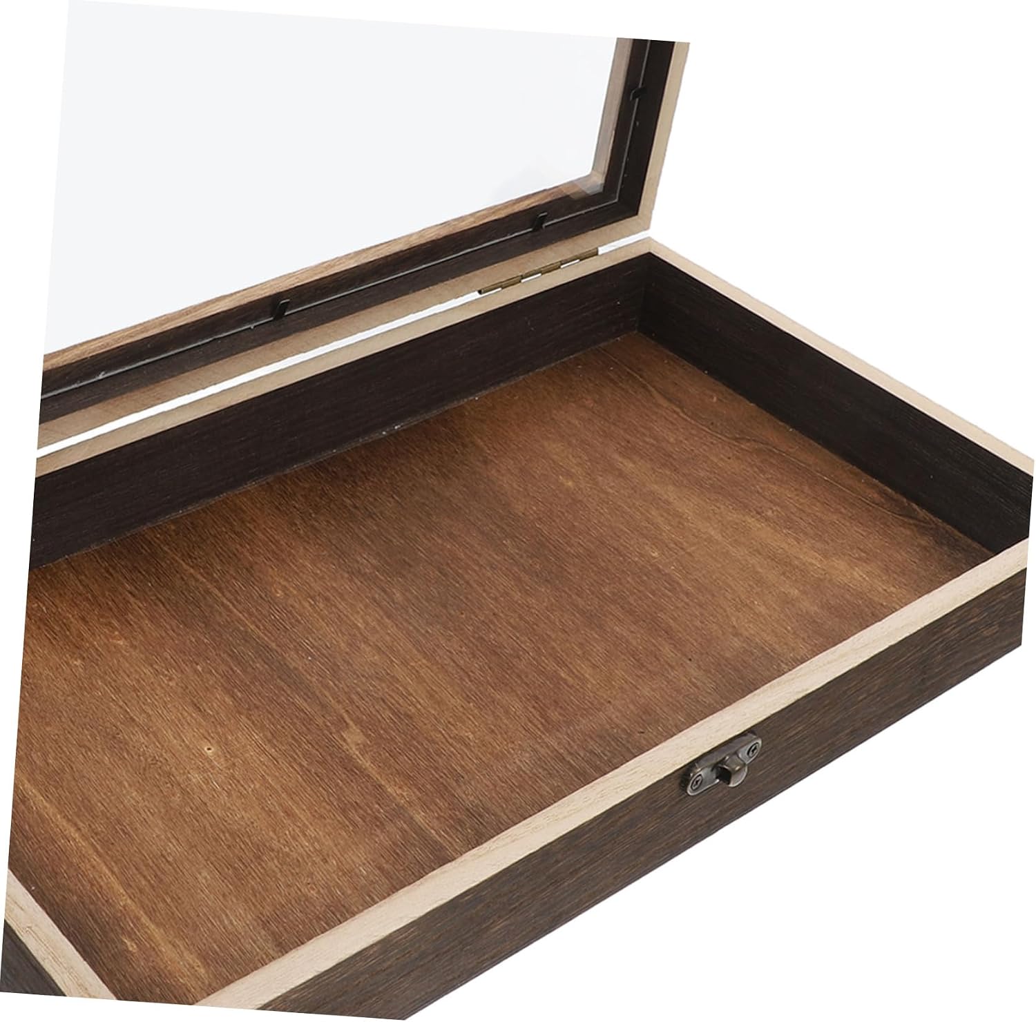 Butterfly Insect Display Box with Hinged Lid Wooden Shadow Box Frame for Specimen Collection Decorative Storage for Home Education and Collectors