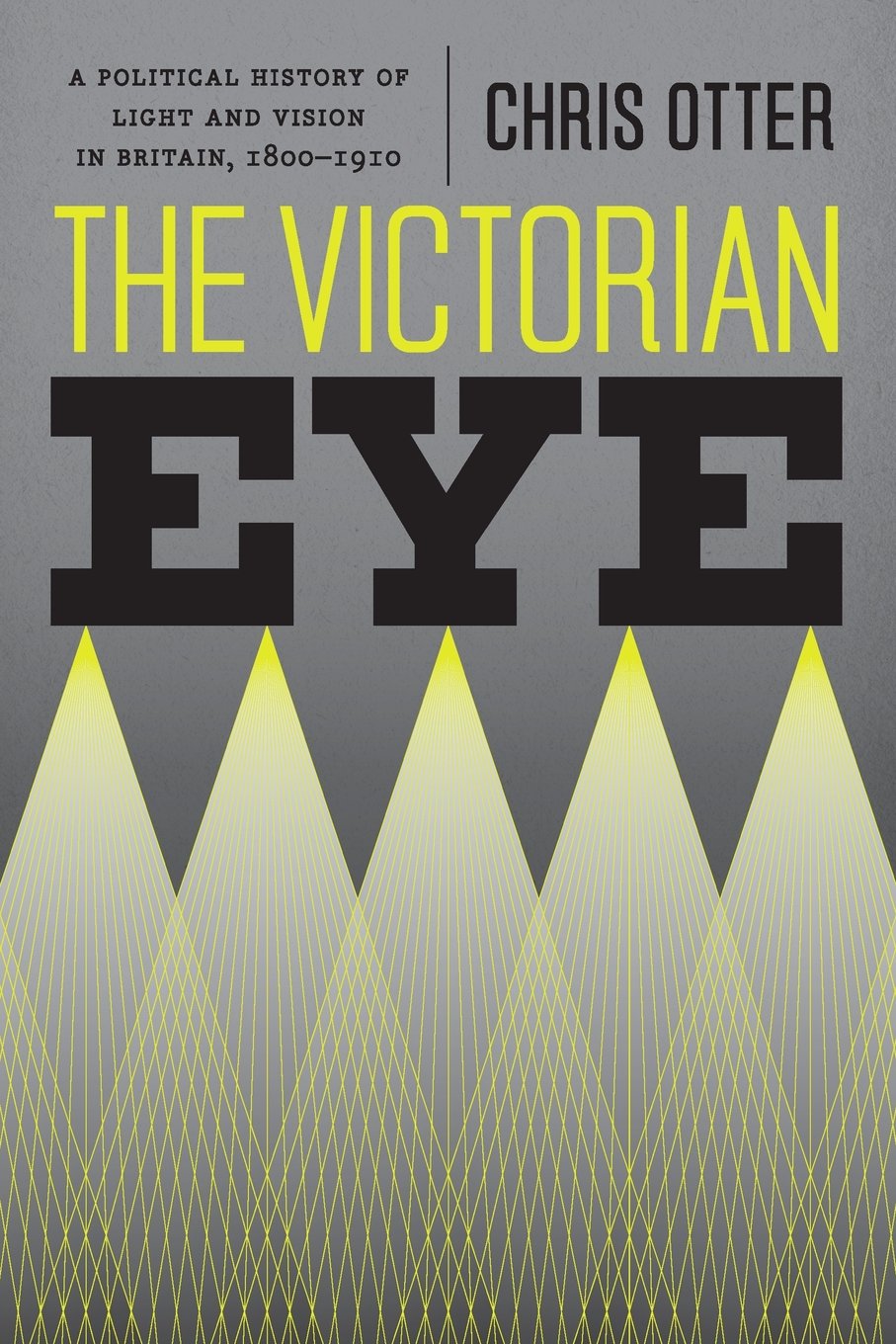 The Victorian Eye: A Political History of Light and Vision in Britain, 1800-1910