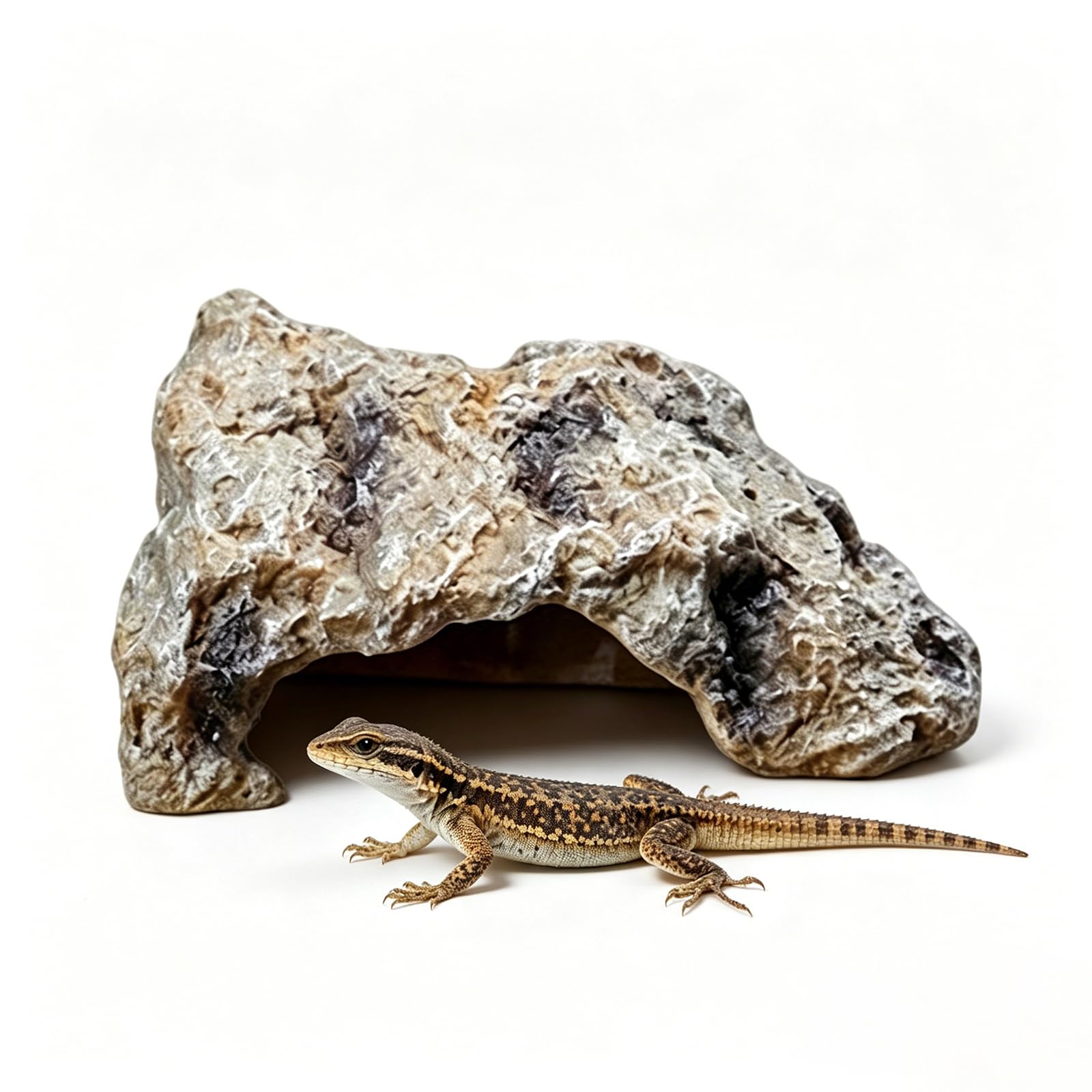 Cueva Natural Hiding PequeñA,Escondite De Reptiles,DecoracióN De Cueva,DecoracióN Cueva Adorno para PequeñOs Lagartos Serpiente Tortuga Ranas Anfibios PequeñA Cueva Escondite DragóN Barbudo