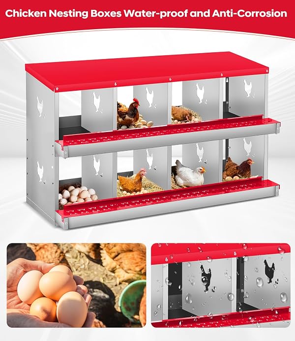 Chicken Nesting Box, 8 Compartment Metal Nesting Box,Wall Mount Chicken Nesting Boxes for Laying Eggs,Easy Egg Collection,8 Room Nest Boxes for Chickens by Garvee - Image 3