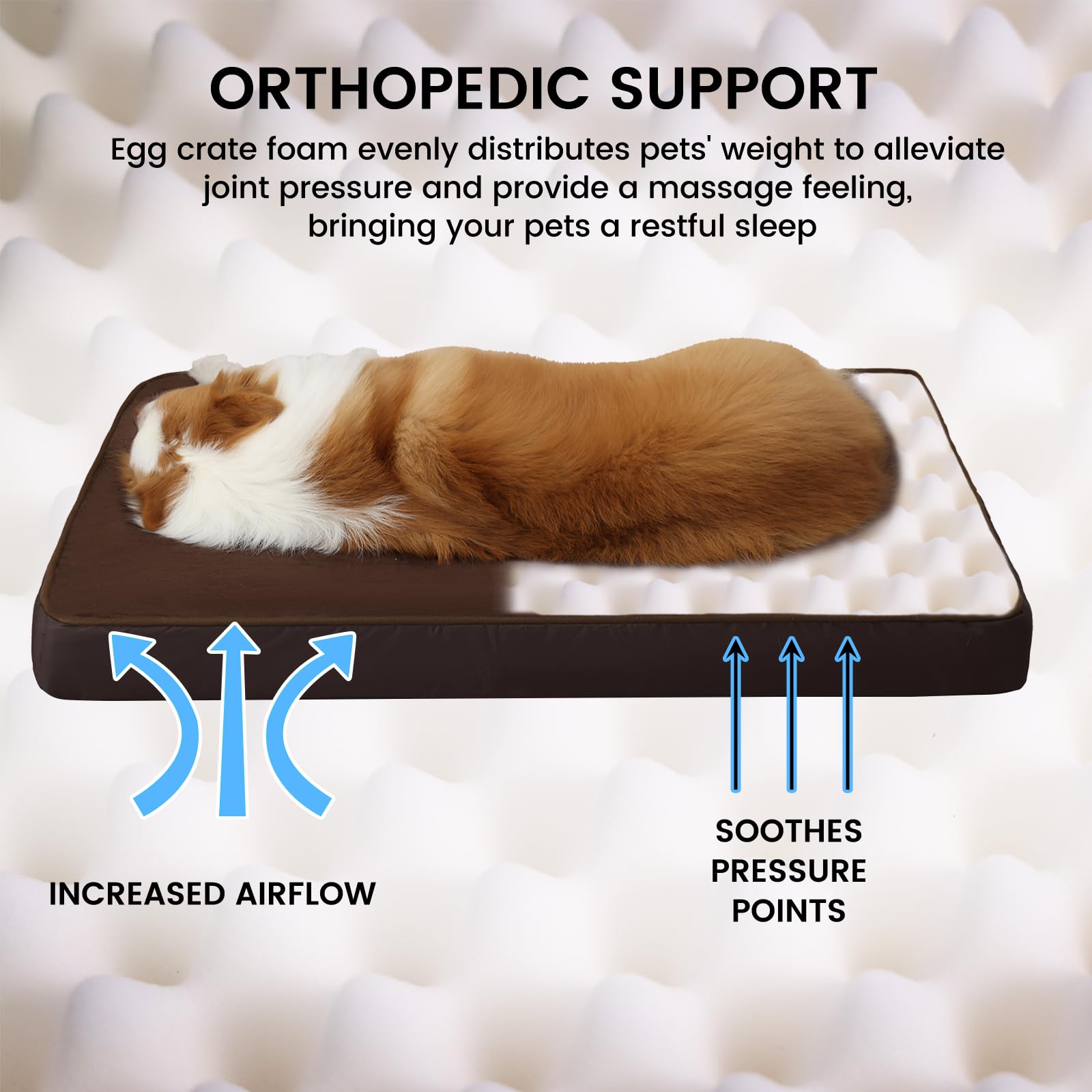 Jaspuriea Medium Dog Bed Washable with Waterproof Removable Cover, Orthopedic Dog Beds with Anti-Slip Bottom - Image 3