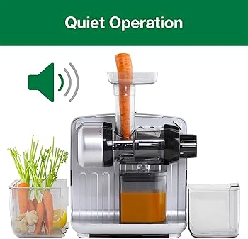 Amazon.com: Omega Juicer Cold Press 365 Slow Masticating Vegetable