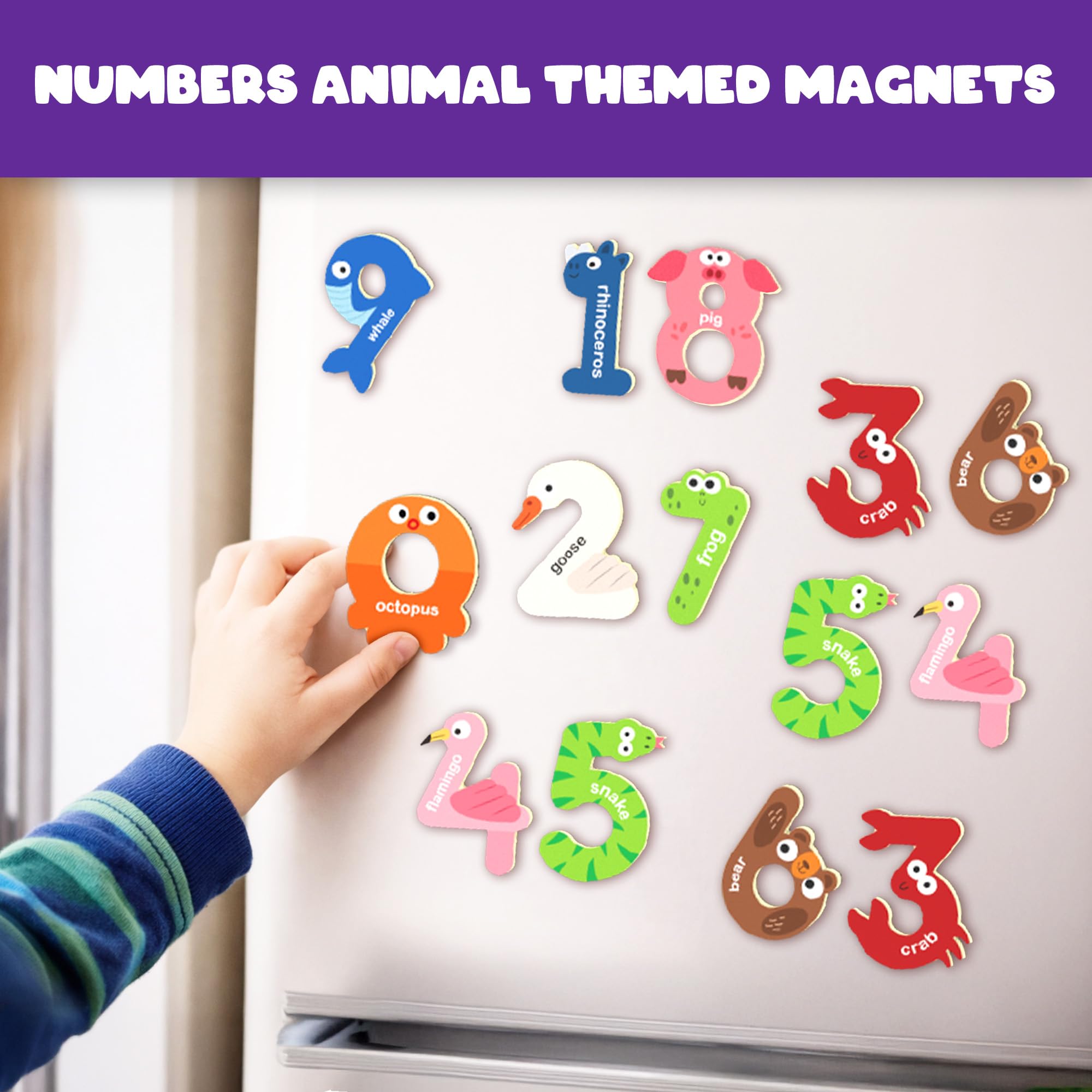 Amazon.in: PLAY PANDA: Magnetic Alphabets & Numbers