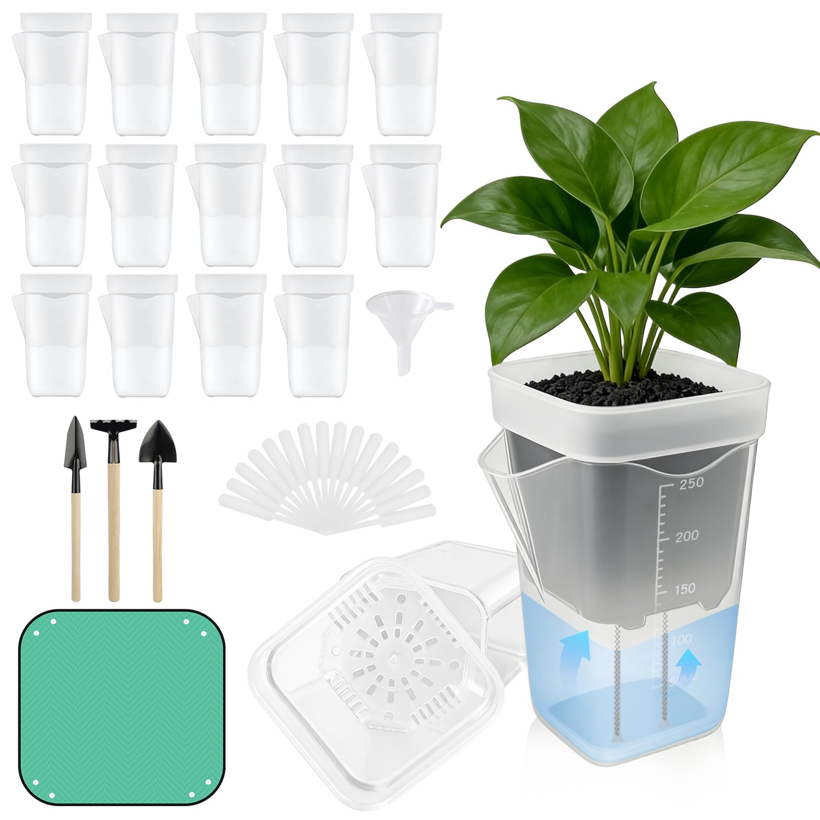 Mini pots de 6,3 cm à arrosage automatique TREWAVE pour plantes d'intérieur et cormes