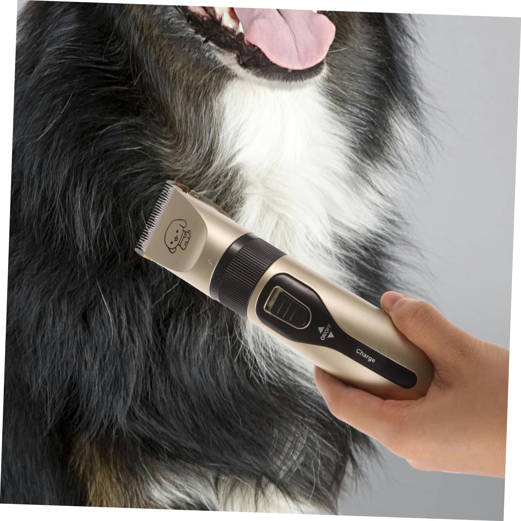 Tondeuse à Poils D'animaux Électrique USB pour Chats et Chiens