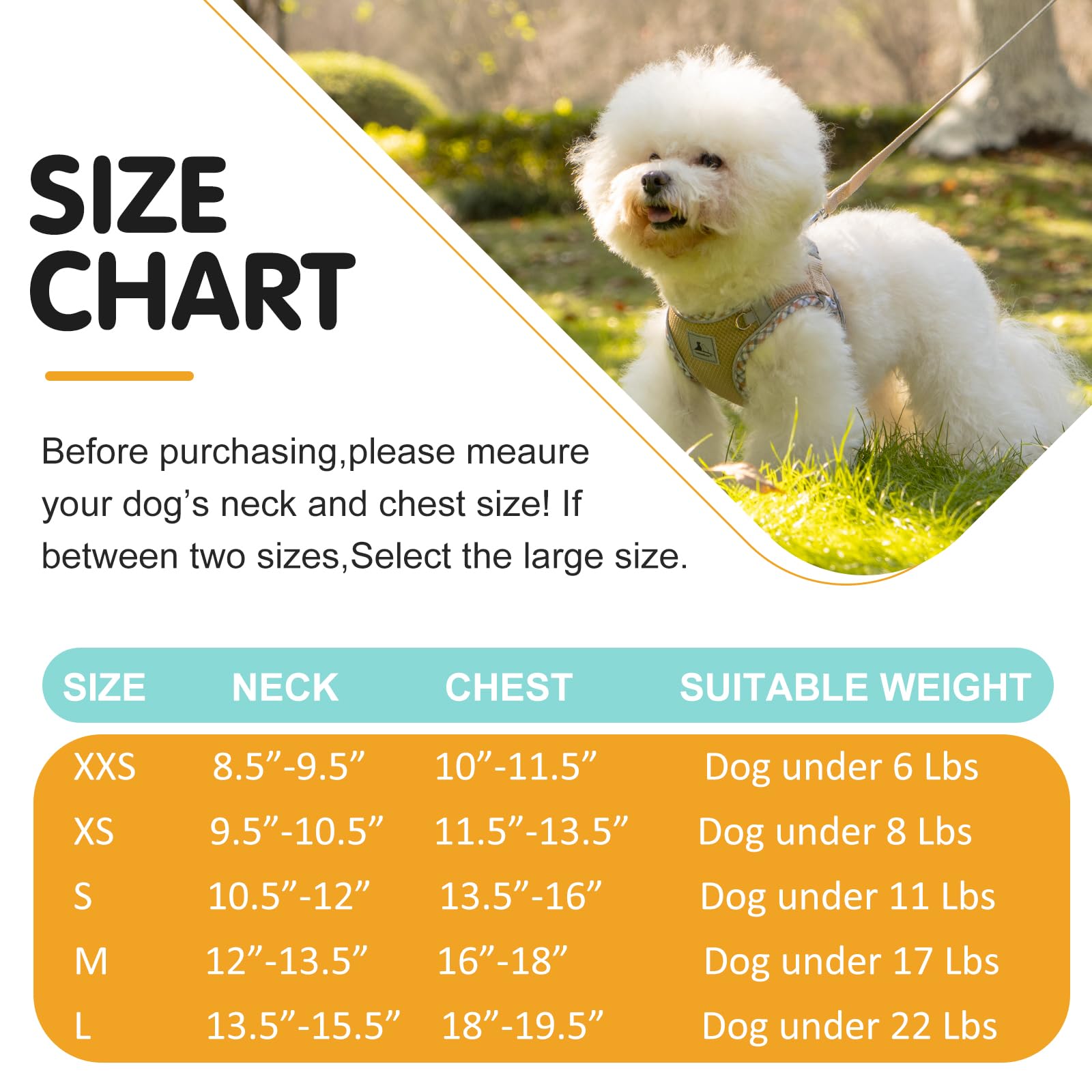 TomteNisse Dog Harness and Leash Set, No Pull Pet Harness for Small Dogs Easy Walking,Soft Breathable Small Dog Harness,Adjustable Reflective Step in Vest Harness for Puppy,Kitten, Cats