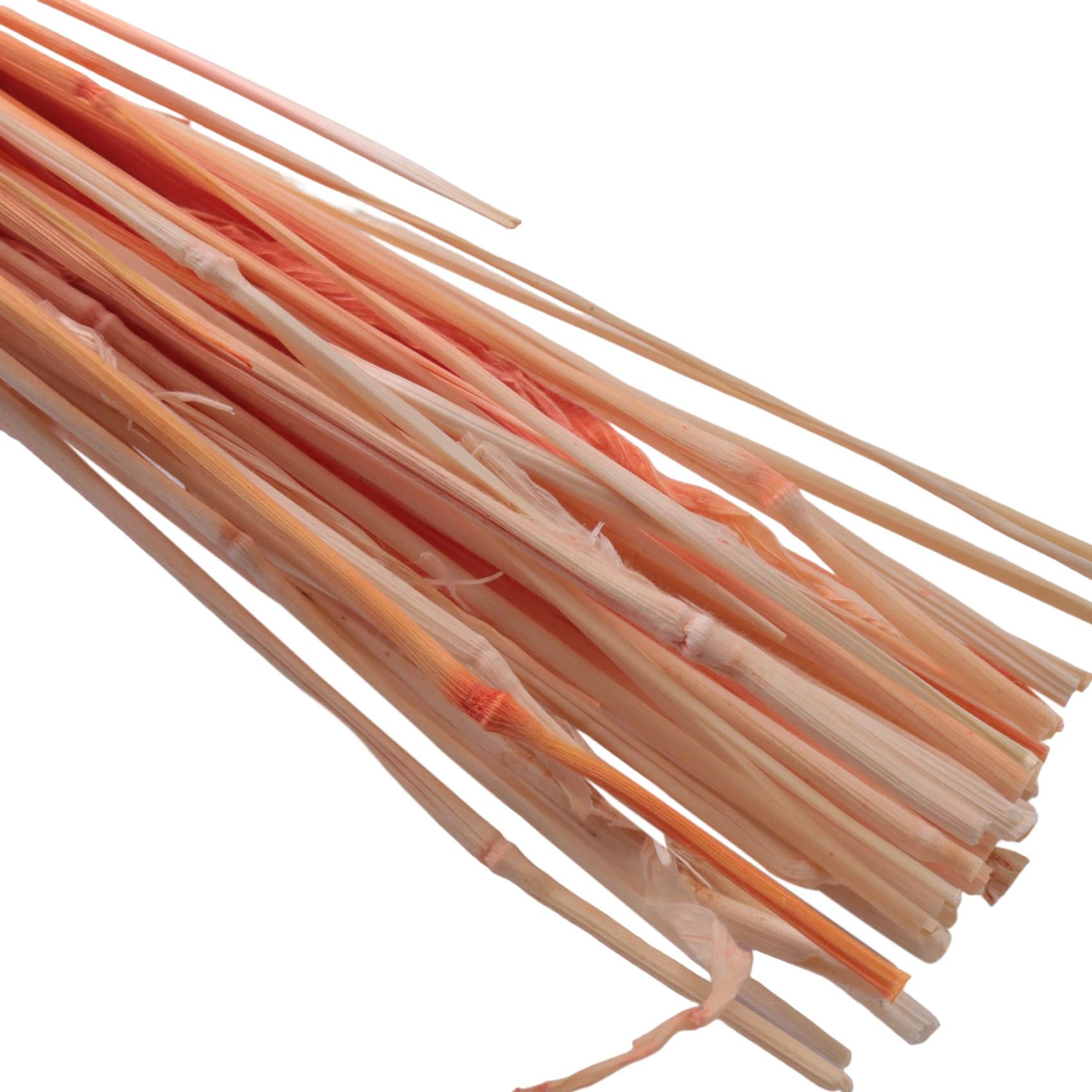 Jufjsfy Lot de 60 fleurs séchées d'automne Lagurus Ovatus Queue de lapin herbe pour séchées (rose Jufjsfy Lot de 60 fleurs séchées d'automne Lagurus Ovatus Queue de lapin herbe pour séchées (rose