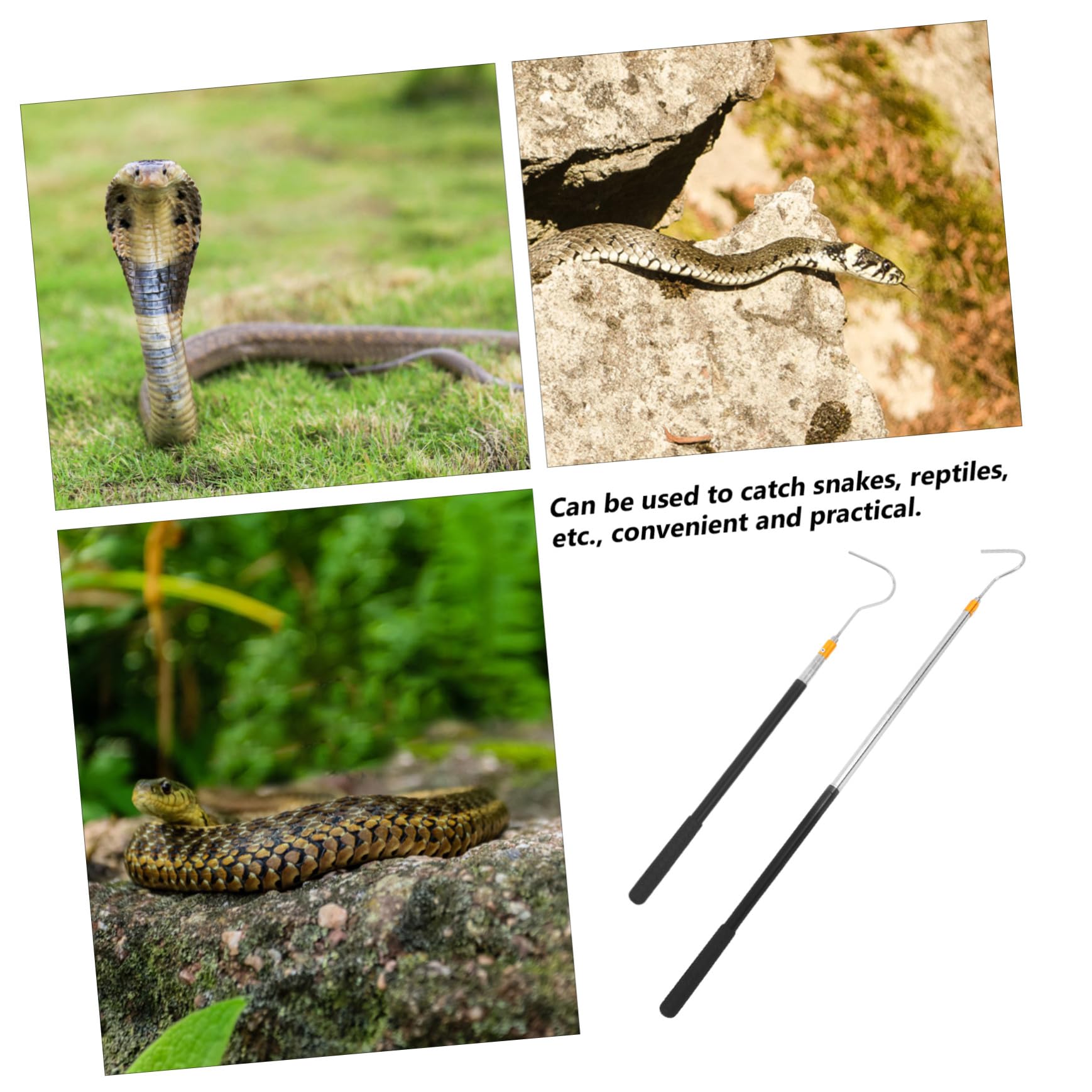 Homoyoyo Attrape-Serpents Crochet Télescopique Outil de Capture Perche Multi Fonctionnelle Ajustable Manipulation Reptiles