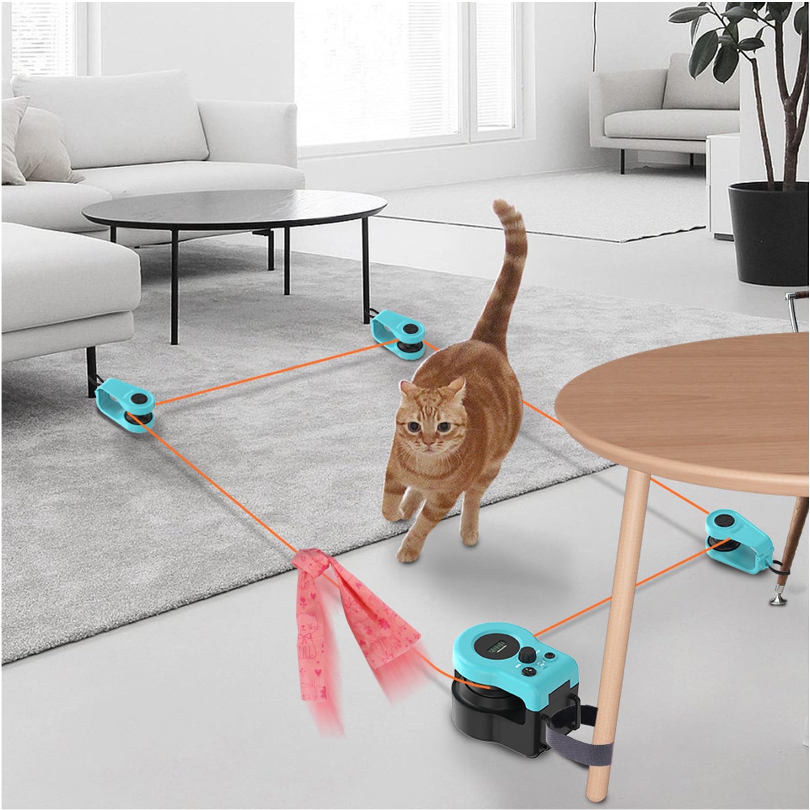 Catnamic，catnamic Toy，katzenspielzeug Fangen，automatisches Katzenspielzeug，Auto- Und Manuellen Modi,einstellbare Geschwindigkeit,USB Wiederaufladbarer-a