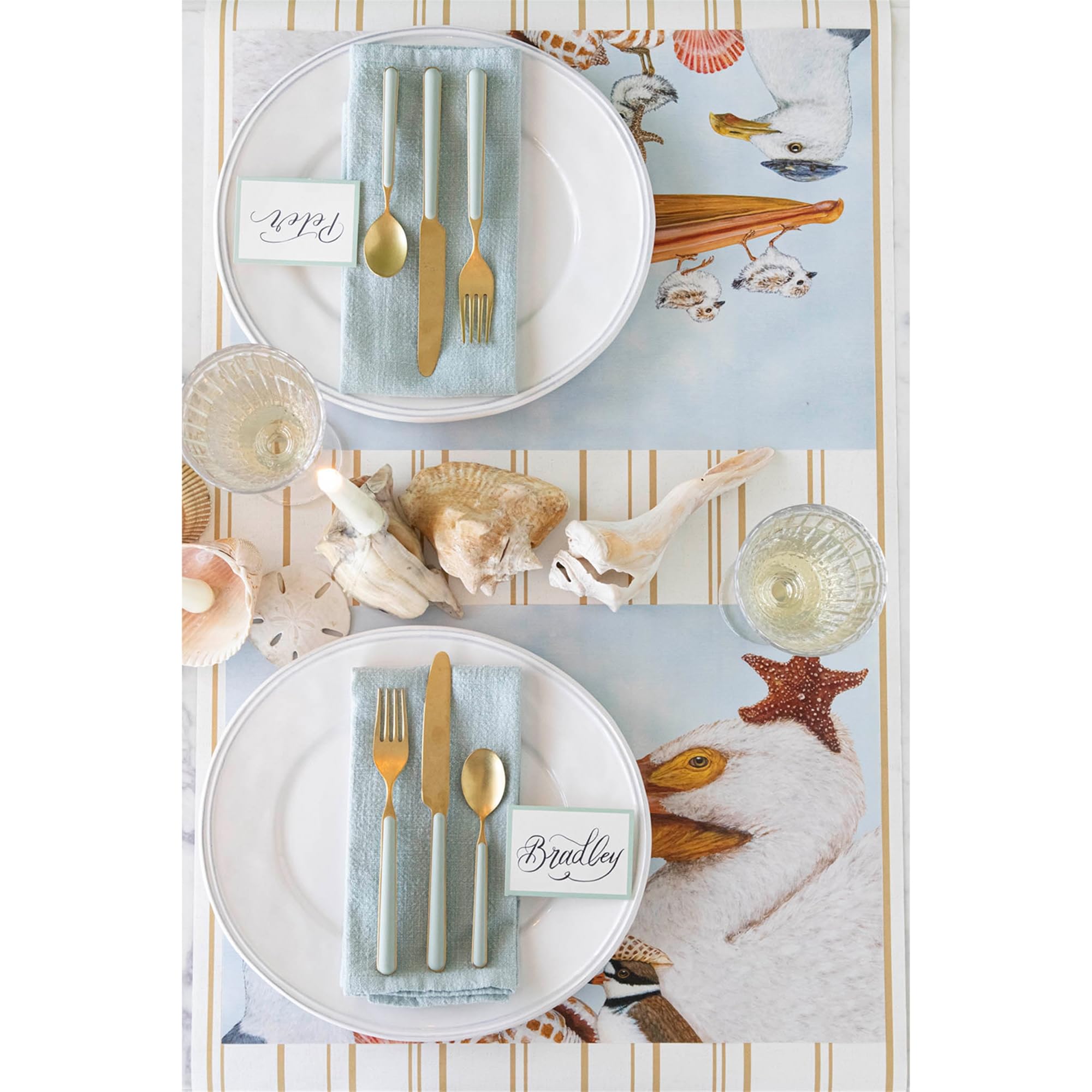 Hester & Cook Manteles individuales de papel desechables para mesa de comedor, tapetes cuadrados de papel para fiestas o bodas, 18 hojas por bloc, fabricados en Estados Unidos (aves playeras)