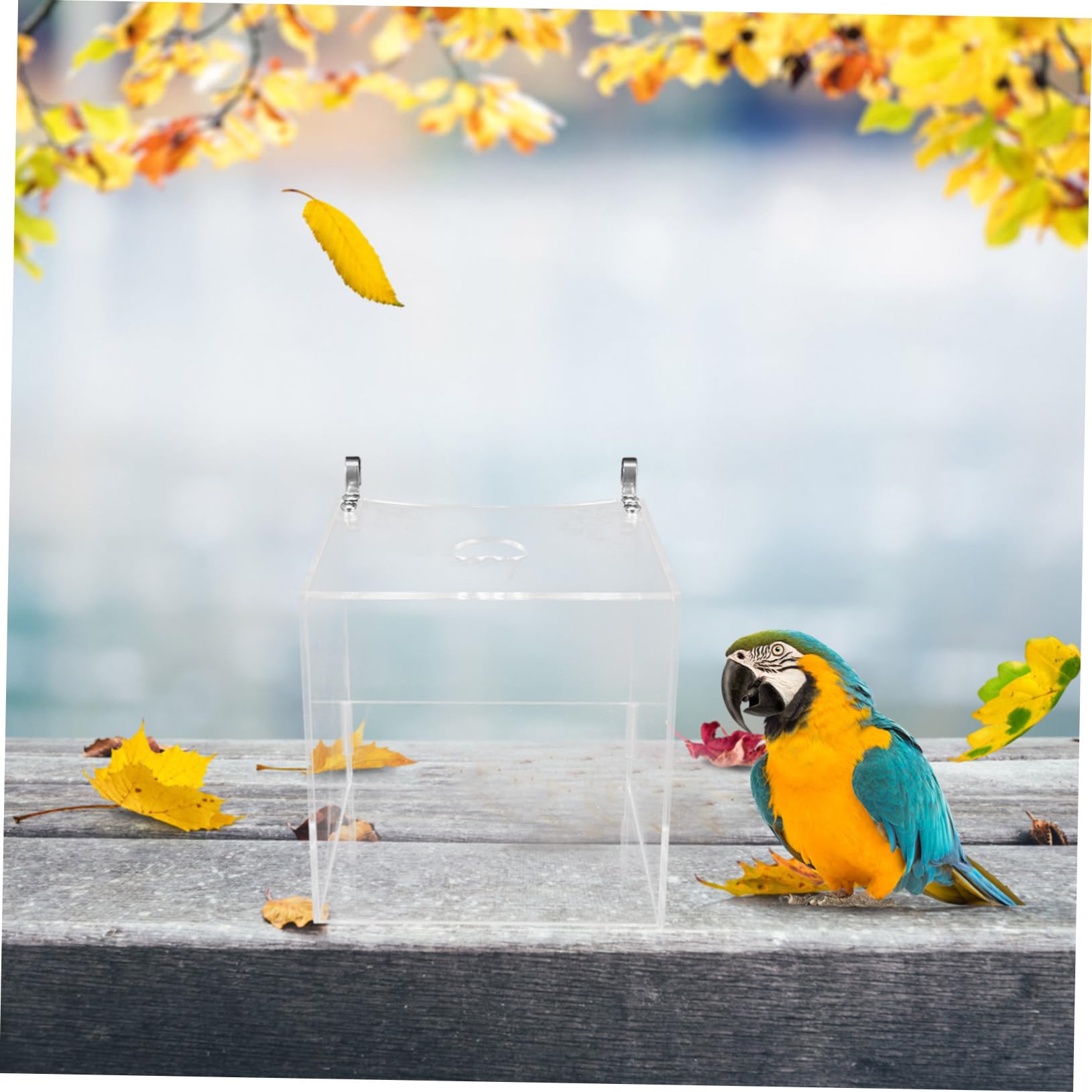 Transparentes Vogelbad Für Papageien Multifunktionale Badewanne Und Futterbox Für Wellensittiche Mit Rutschfestem Design Und Langlebigem Material Für Vogelkäfige