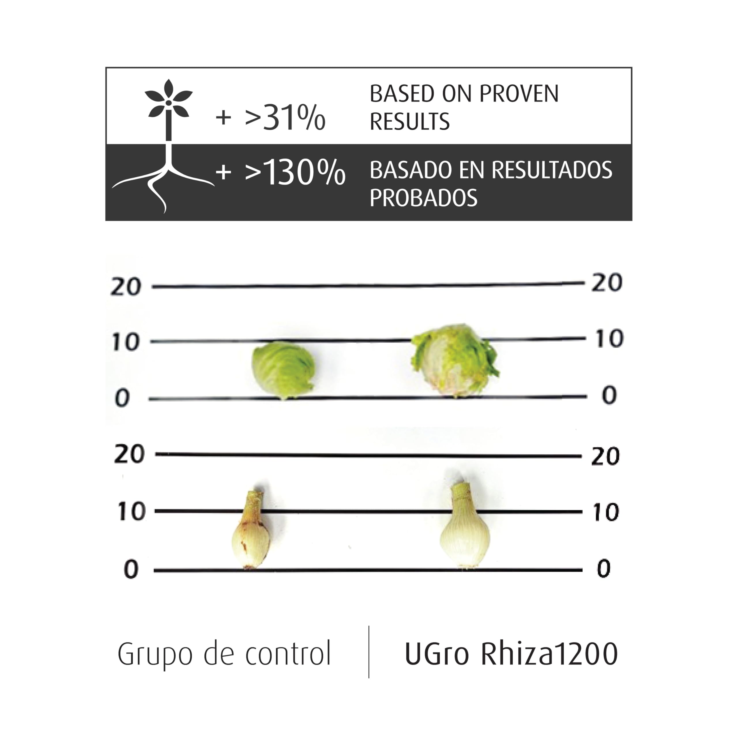 UGro Rhiza1200 - Micorrizas Naturales, Hongos beneficiosos que estimulan el Crecimiento y Mejoran la Nutrición de las Plantas. Para el desarrollo Rápido de las Raíces