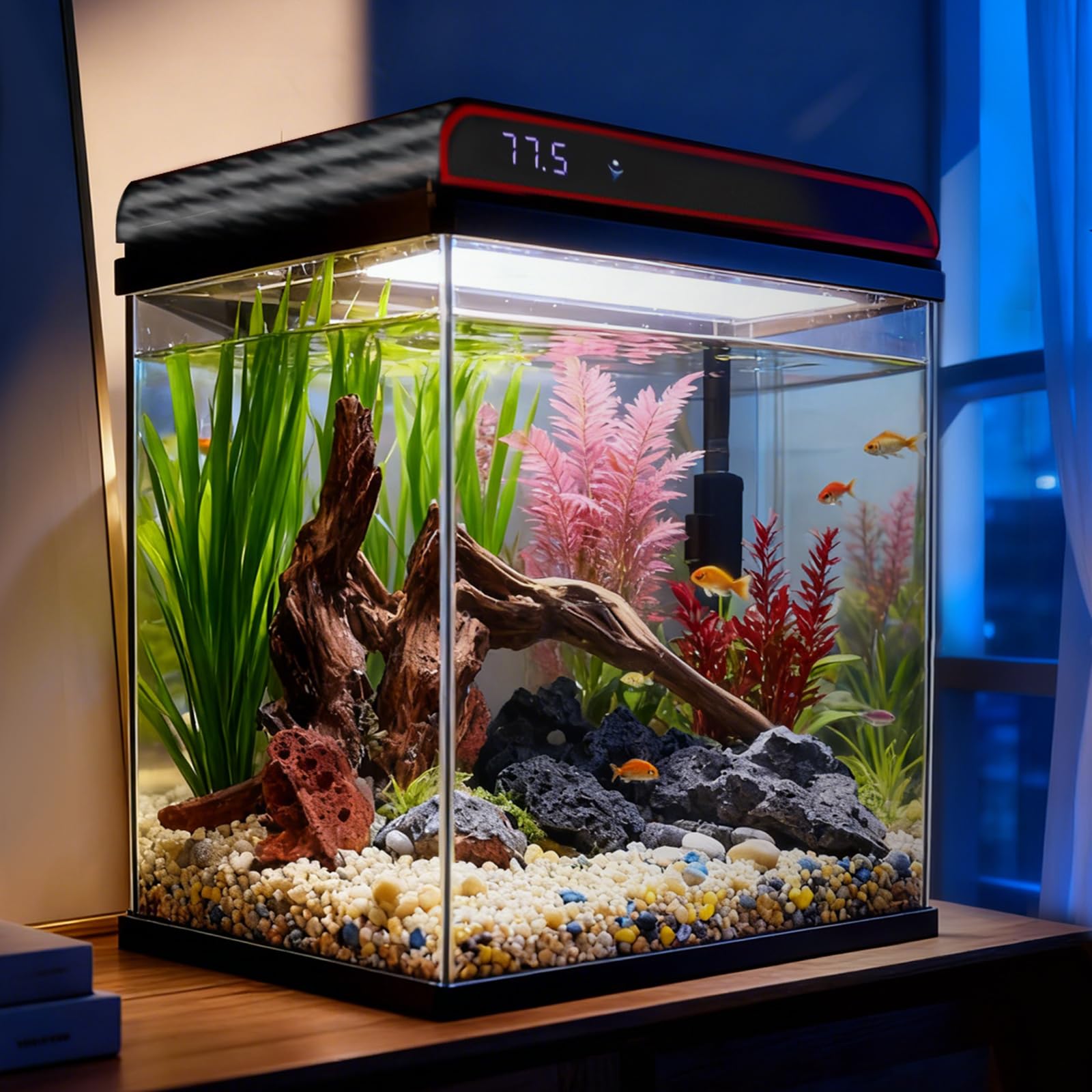 Coospider 5 Gallon Glass Fish Tank Starter Kit