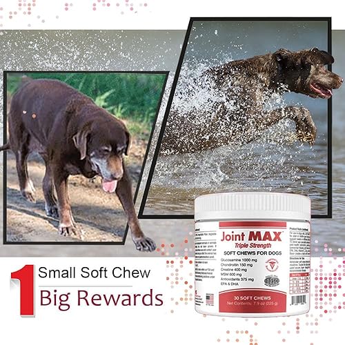 Vista 34 de PHS Joint Max Triple Strength (TS) Masticables suaves para perros, glucosamina, condroitina, MSM, cúrcuma, Omega 3, alivio del dolor de cadera