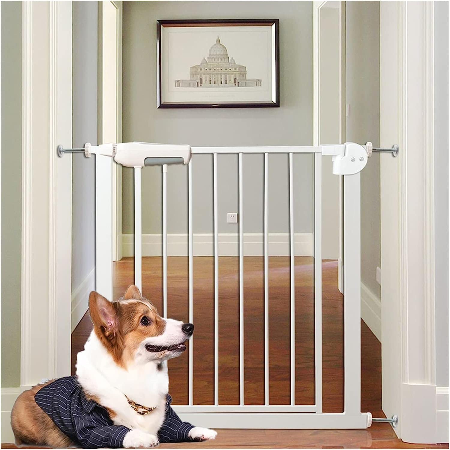 犬用自動閉鎖ゲート Amazon.co.jp: 犬の安全ゲート、自動閉鎖ペットゲート、76cm子犬ゲート