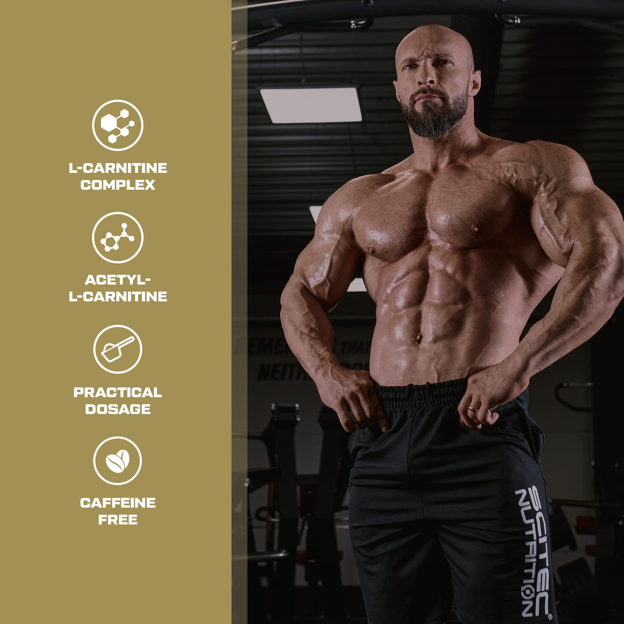 l carnitine scitec nutrition bodybuilding Mega Carni 1000 (60 caps) - Fat burners Prolab L Scitec Nutrition Carni Complex, 1200