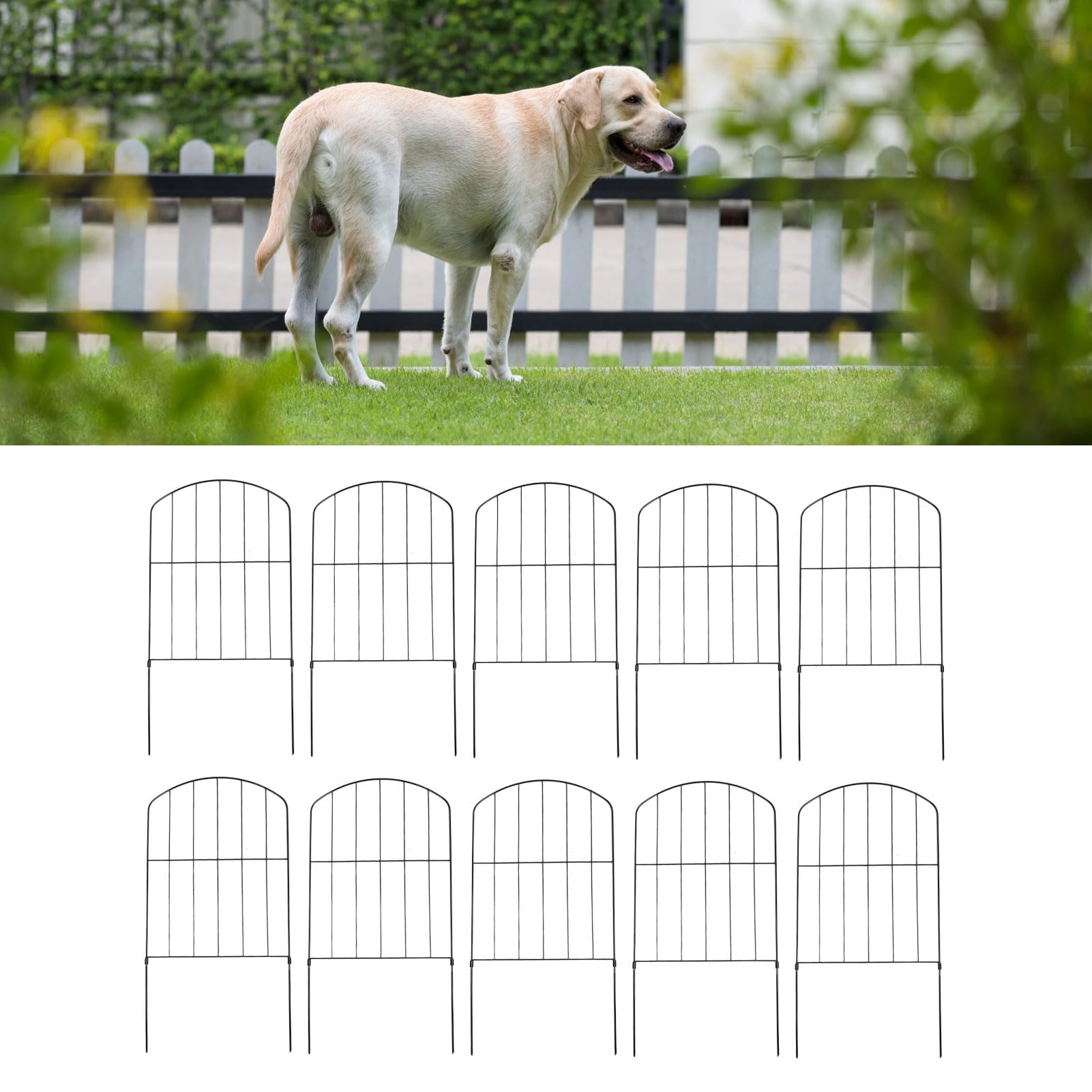 Pssopp 10pcs Dekoracyjne Ogrodzenia Ogrodowe, łukowate Rdzeniowe Gruntowe Paliwo Bariera Zwierzęce Ogrodzenie z Szpilkami na Podwórko Patio na Zewnątrz Dekoracje Zewnętrzne