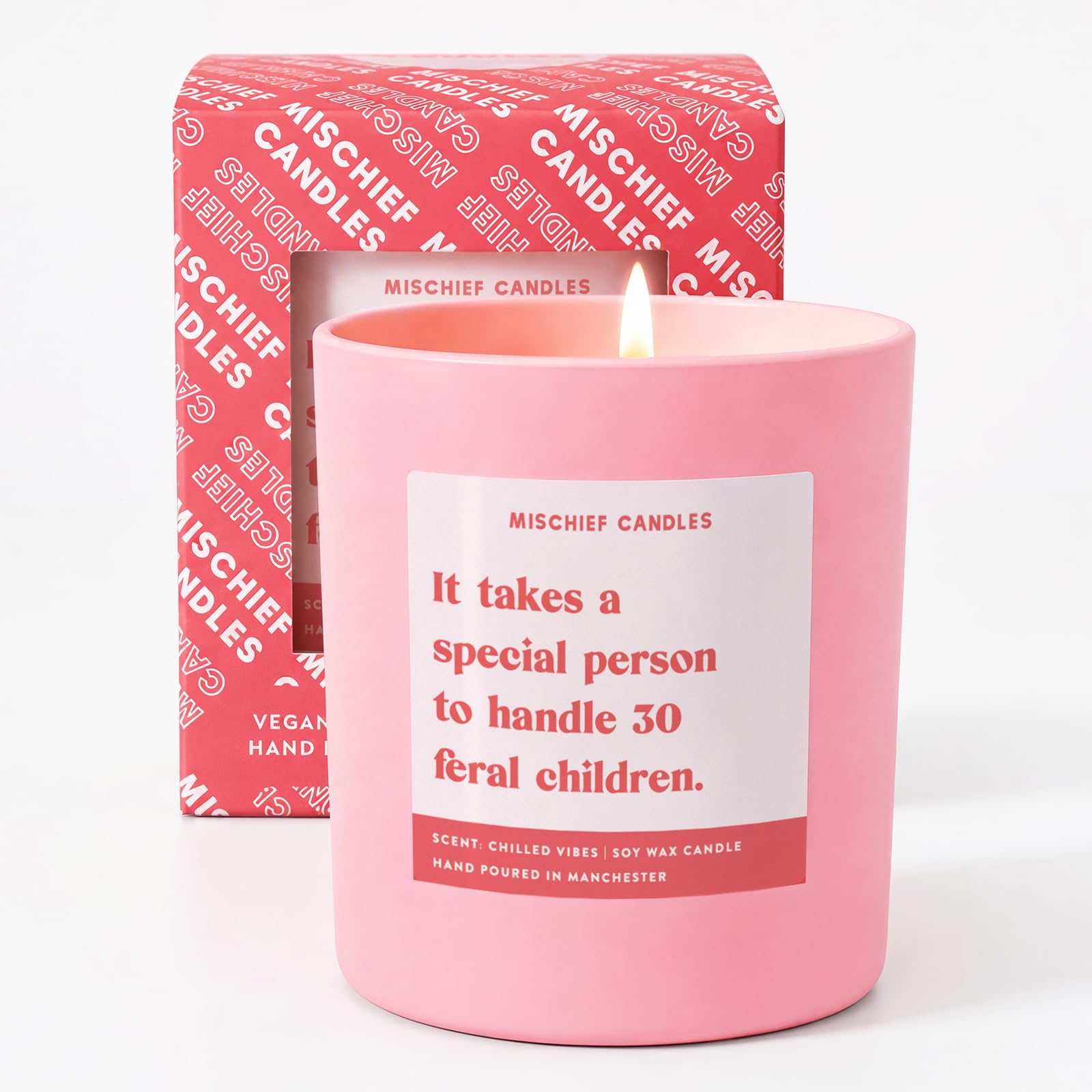 Teacher Gift, Funny Teacher Candle, Soy Scented, Vegan, 50hr Burn Time