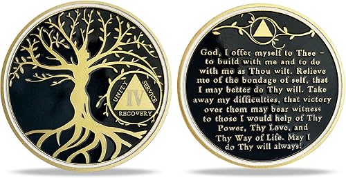 Chip de medallón AA de 4 años, árbol de la vida, fichas de recuperación de oración de serenidad, moneda de sobriedad, ficha de aniversario