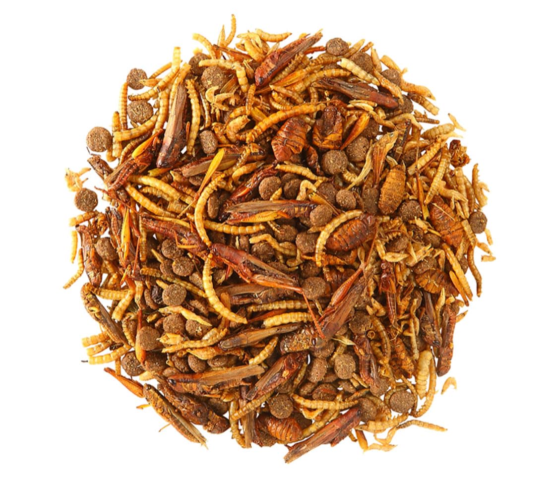 Dehner Natura Premium Igelfutter, Delikatesse für Igel aus Insekten, proteinreich / vitaminreich / natürliche Ernährung, 8 x 100 g (800 g)