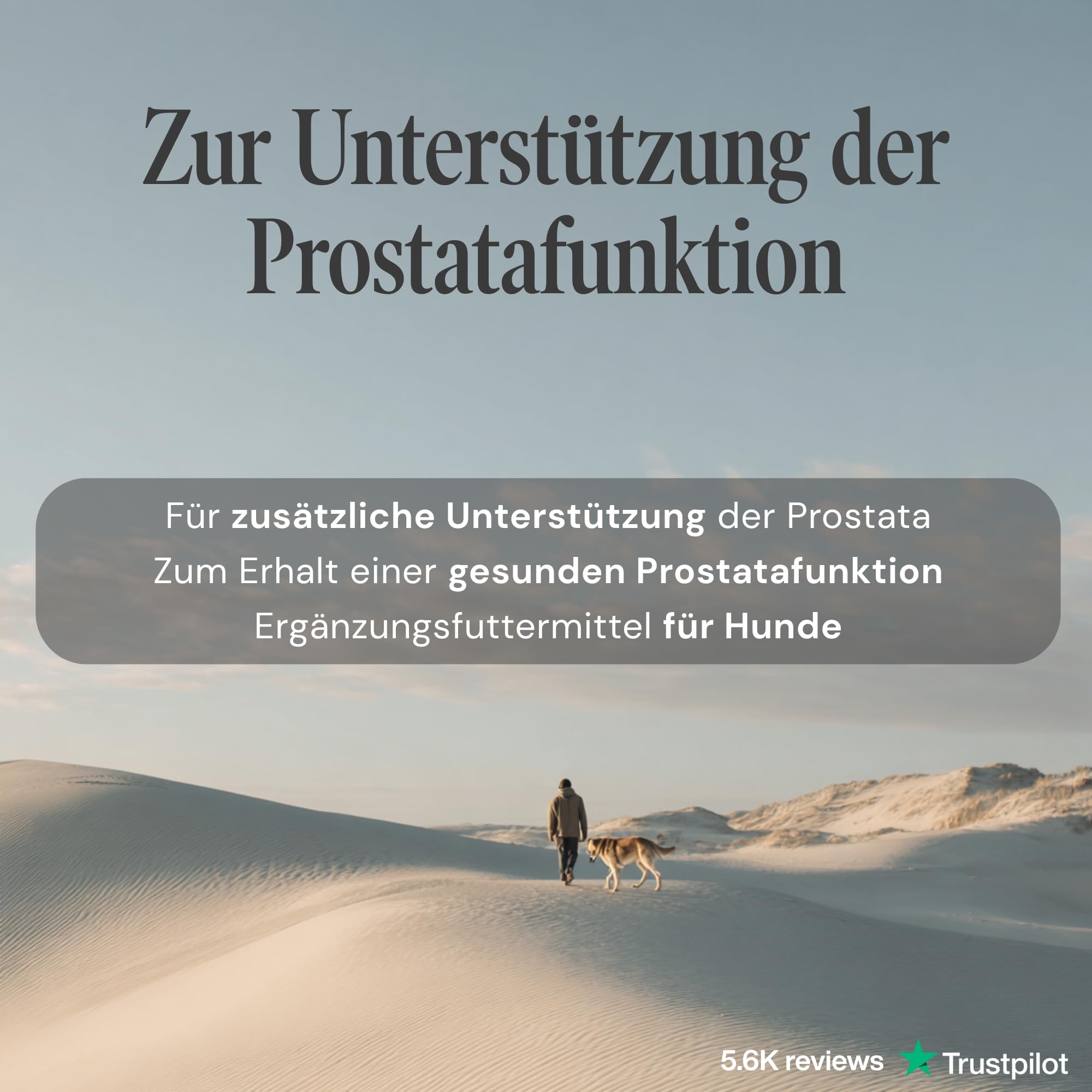 Prostata Aid - Prostata Tabletten für Hunde zur Unterstützung der Prostatafunktion - hochdosiertes Nahrungsergänzungsmittel mit pflanzlichen Extrakten - 90 Tabletten à 1000 mg - Sensipharm