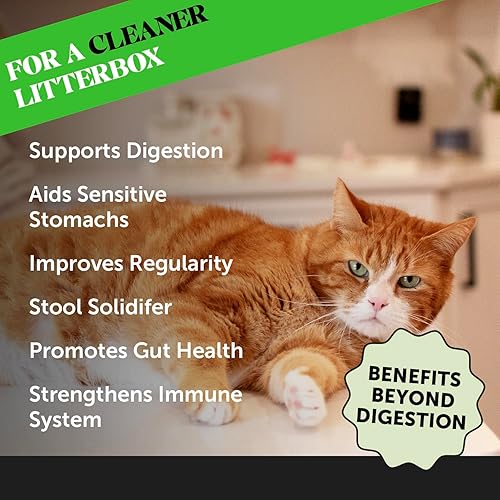 Miniatura 2 de Pet Honesty Suplemento probiótico digestivo en polvo para gatos, apoyo digestivo + salud intestinal, probiótico para gatos, alivio del estreñimiento