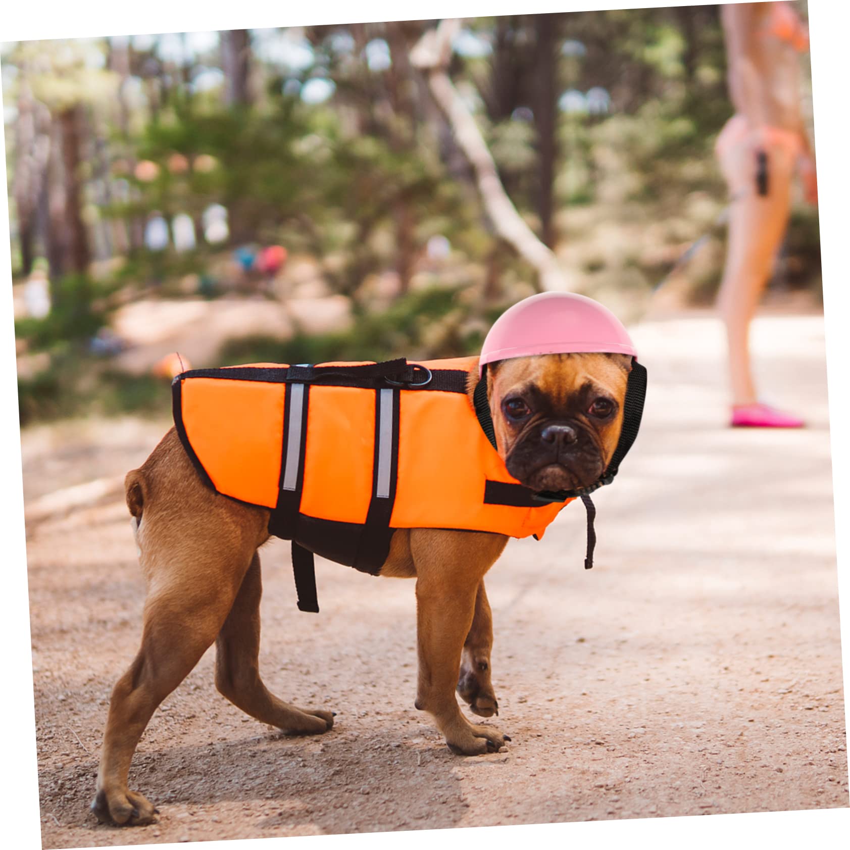 FRCOLOR 3piezas Sombrero De Seguridad para Perros y Gatos Casco Decorativo De Plástico Protección para Mascotas para Fiestas y Eventos