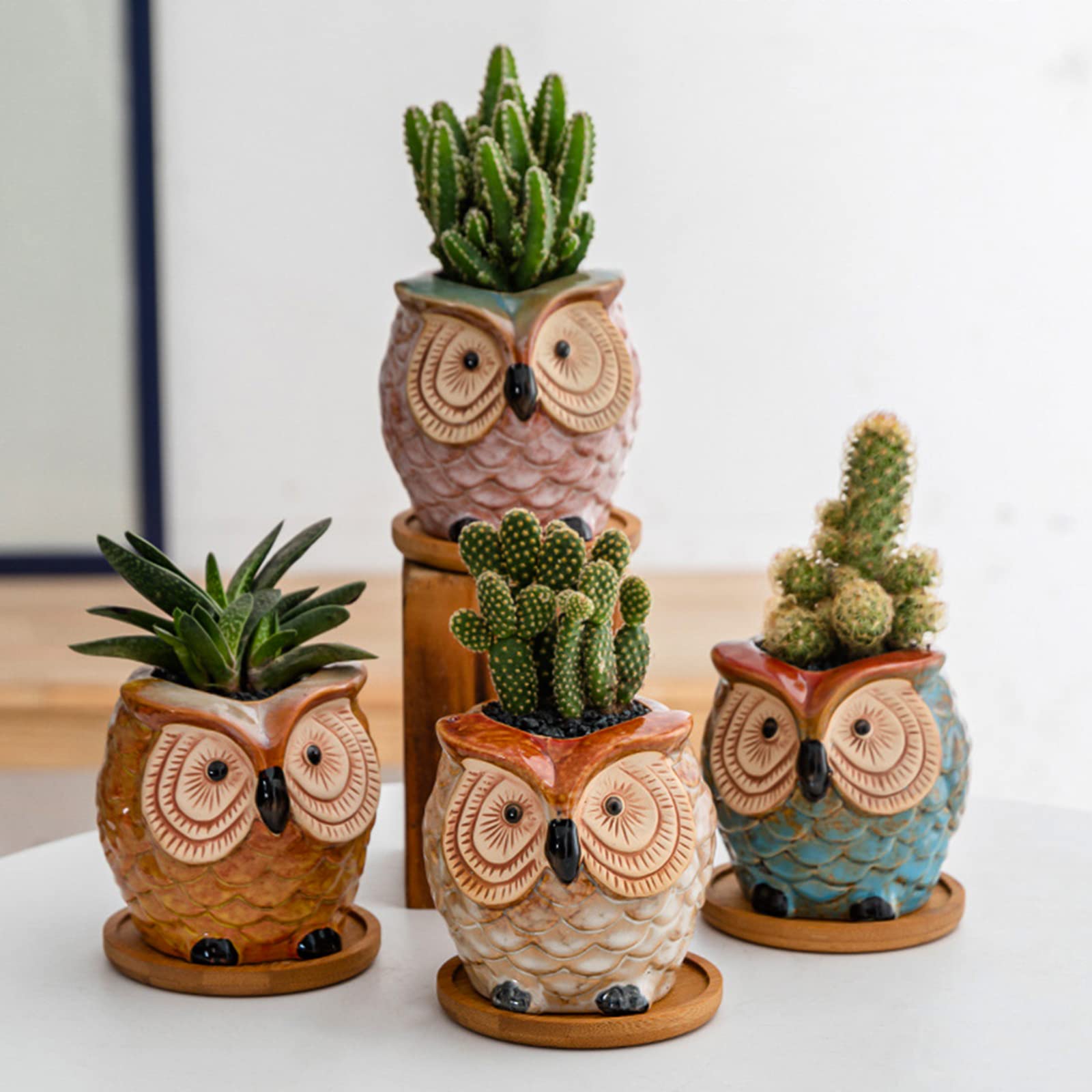 10 Sottovasi In Bambù Rotondi Da 6 Cm – Sottovaso Per Piante Grasse E Cactus – Ideale Per Interni Ed Esterni