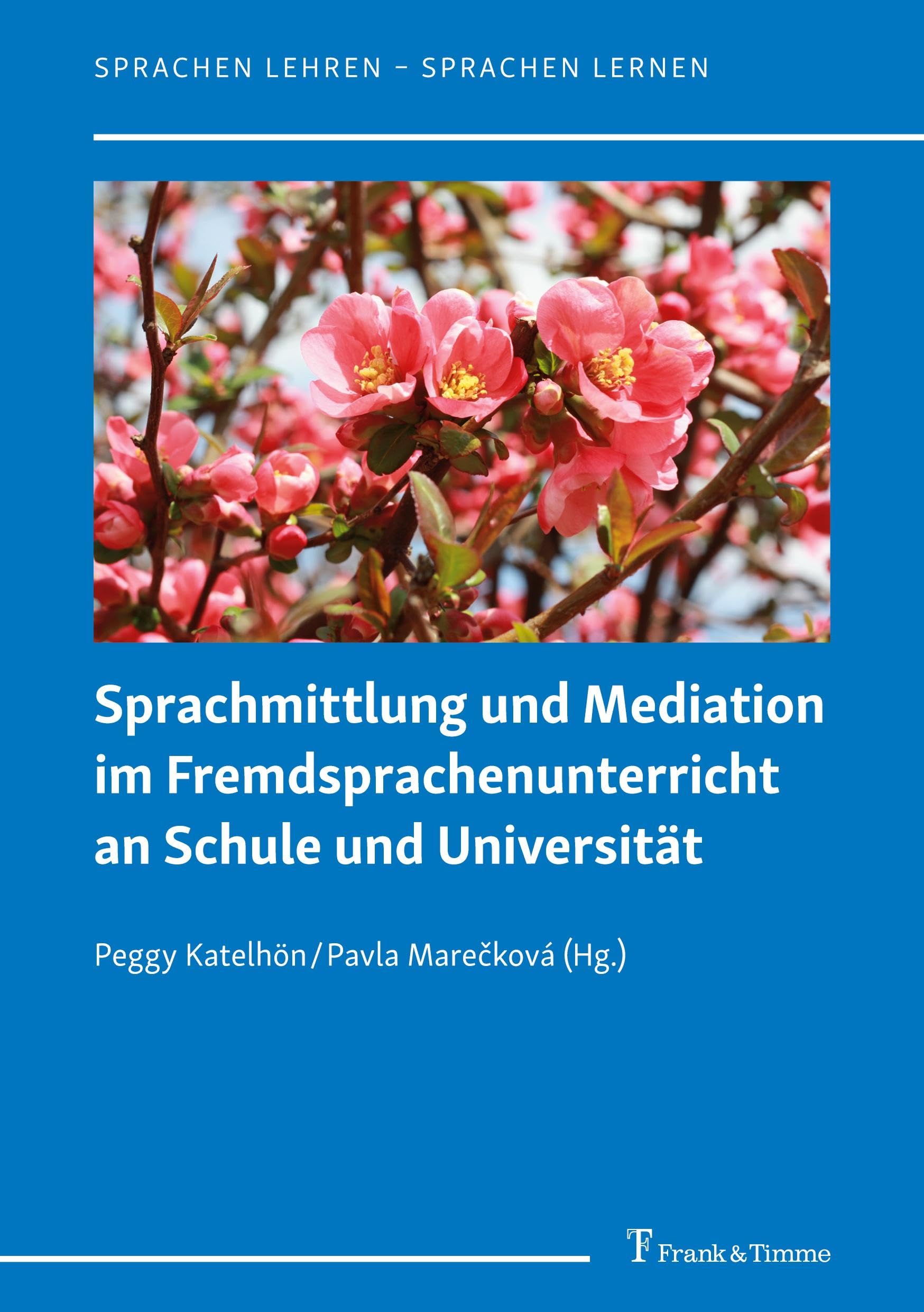 Sprachmittlung und Mediation im Fremdsprachenunterricht an Schule und Universität (Sprachen lehren – Sprachen lernen)