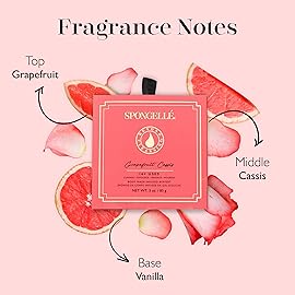 Spongelle Grapefruit Cassis Wild Flower Loofah Buffer with Box | Bath & Shower Loofah for Women | Body Scrubber Exfoliator with Body Wash Infused Sponge | 14+ uses | Zesty Grapefruit, Cassis & Vanilla