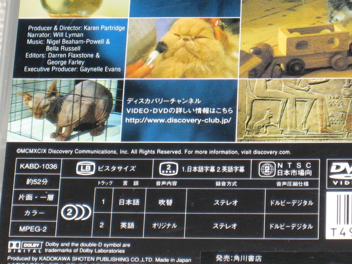 Amazon.co.jp: DVD「THE ULTIMATE GUIDE ネコ ディスカバリー