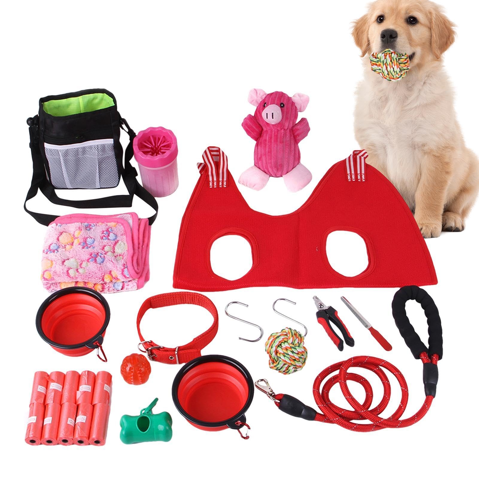 Generic Agility-Trainingsgerät für Hunde, multifunktionales Hundezubehör | sicheres Spielzeug-Set für kleine, mittelgroße Haustiere, Lauftraining
