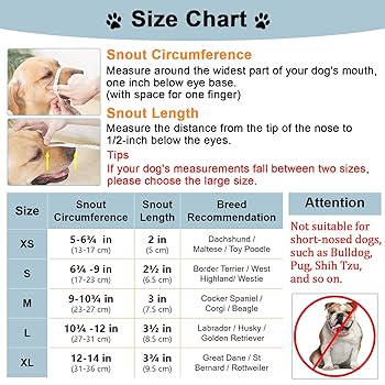 no* 犬がいます パンフレット X Pearl no* 犬がいます様専用 パンフレット X Pearl-期間限定