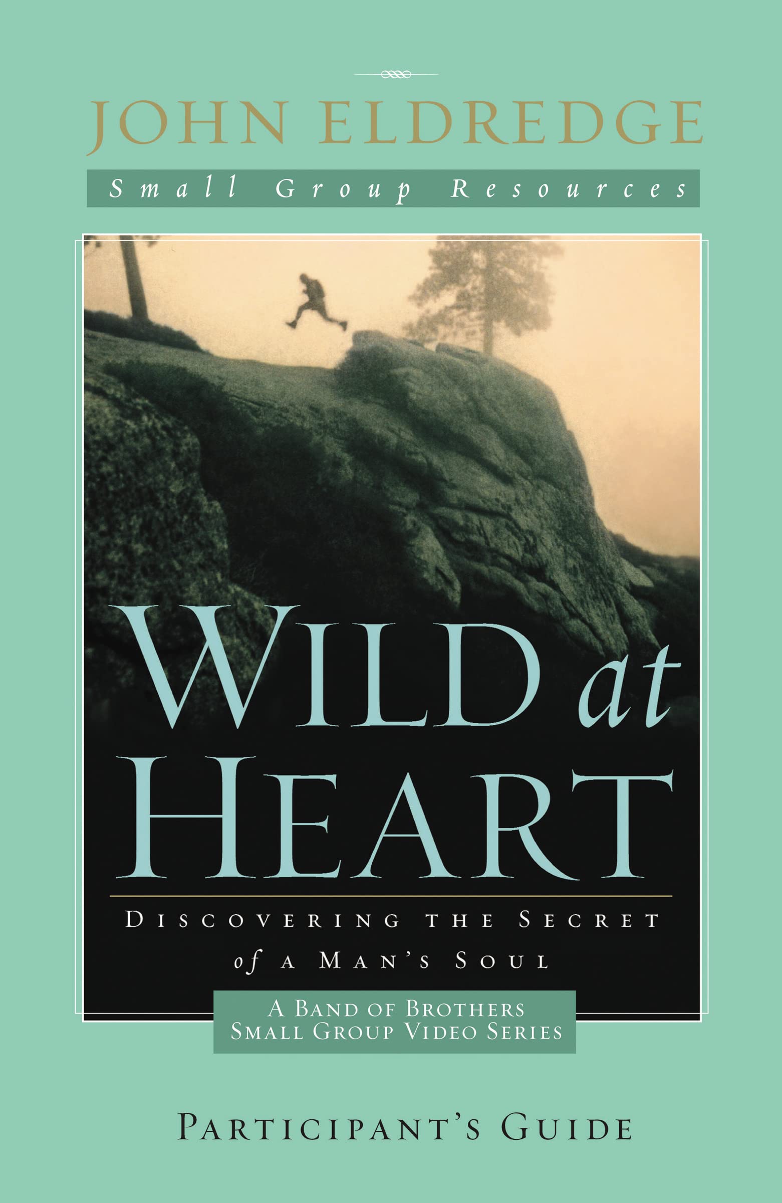 Wild at Heart: A Band of Brothers Small Group Participant's Guide (Small Group Resources)