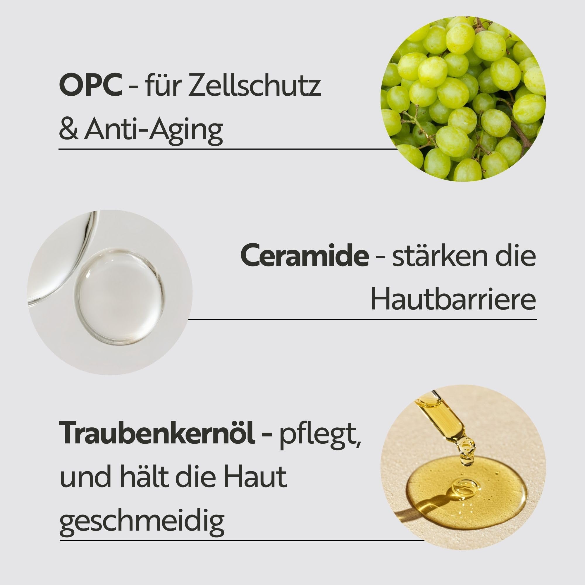 M. Asam Vinolift Spezial Nachtpflege (100 ml) | Reichhaltige Nachtcreme zur Regeneration reifer Haut, Anti Falten Creme Mit Hyaluron, Resveratrol und Traubenkernöl