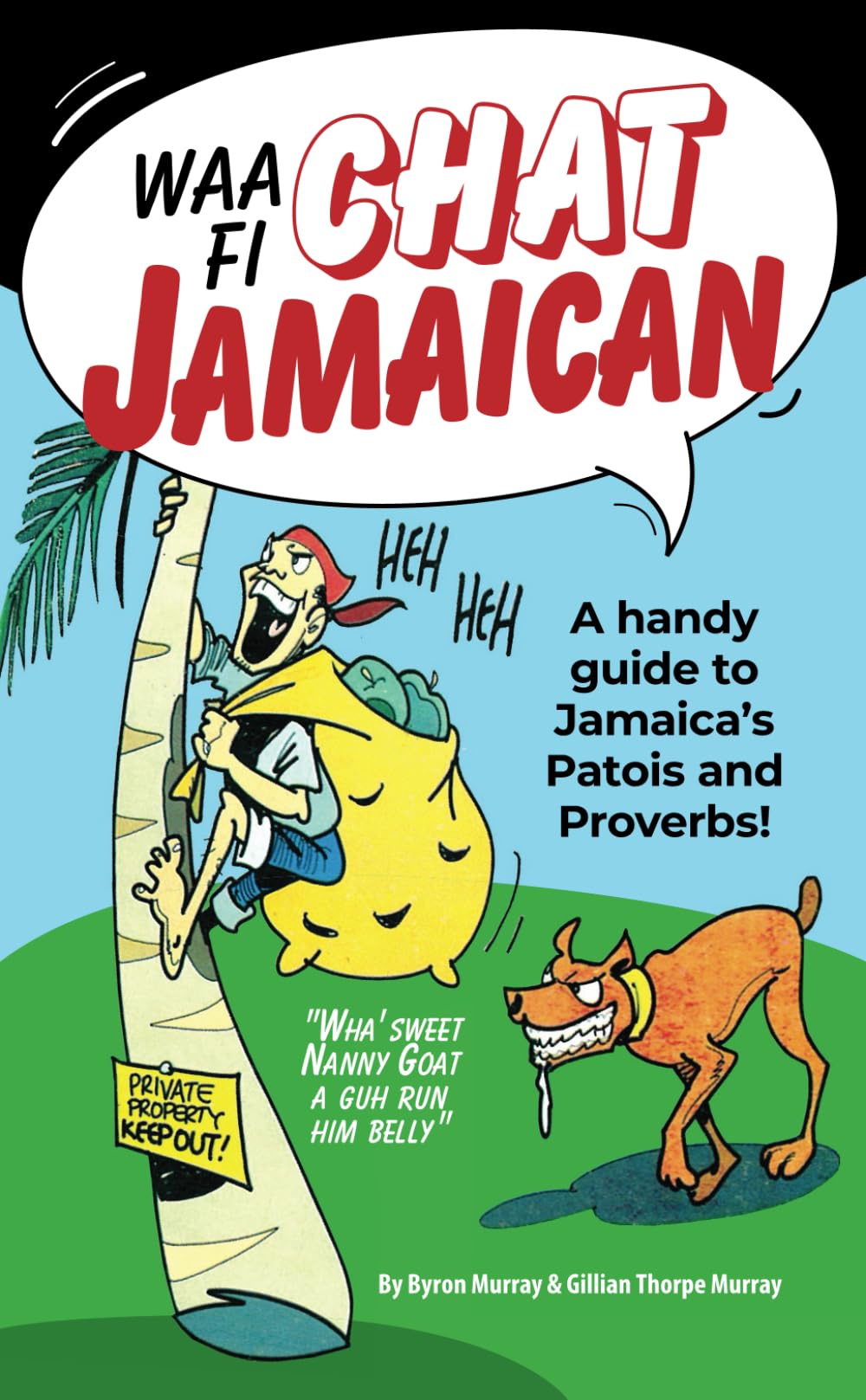Waa Fi Chat Jamaican: A Handy Guide to Jamaica's Patois and Proverbs